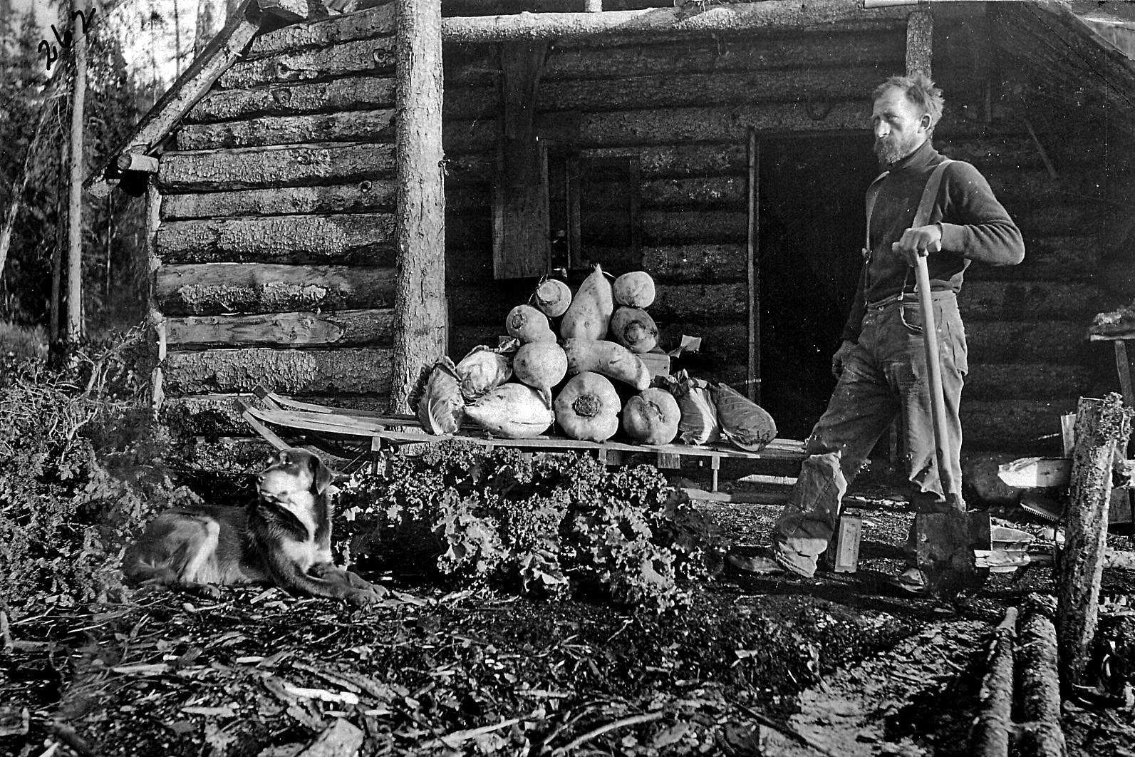 Herman Stelter at his home on Kenai R, circa 1910s--Herman Stelter, one of the few members of the Kings County Mining Company to remain in or return to Alaska, poses here with a big crop of vegetables by his home near the Kenai River canyon. (U.S. Forest Service photo)