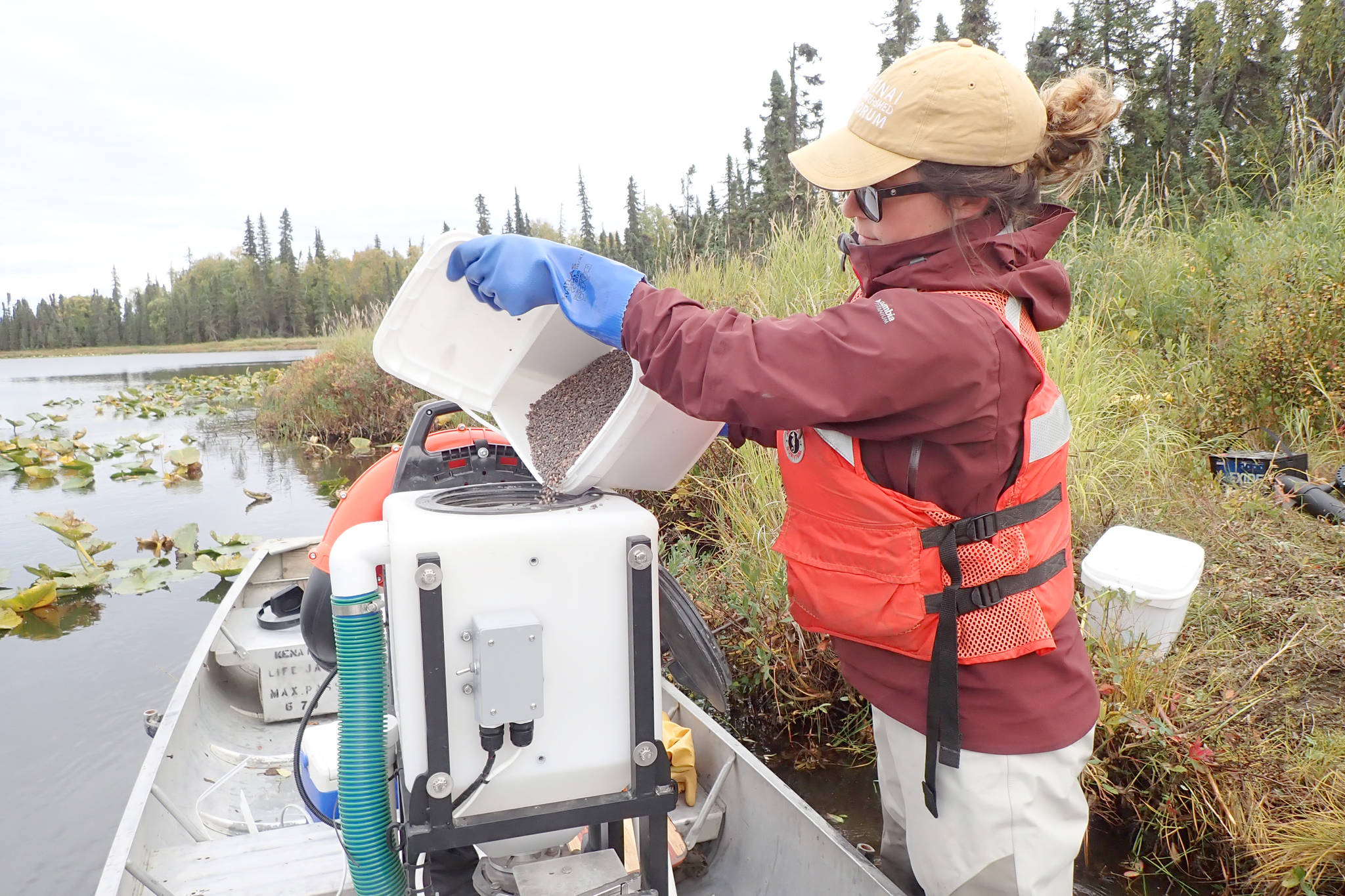 Maura Schumacher, invasive species specialist with the Kenai Watershed Forum, loads the hopper with fluridone pellets that are applied via a gasoline-fired blower to Hilda-Seppu Lake. (Photo by Matt Bowser/Kenai National Wildlife Refuge)