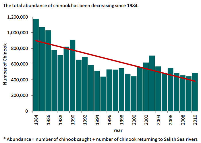 Chinook salmon numers in the Salish Sea from 1984-2010. (Courtesy photo, Environmental Protection Agency)