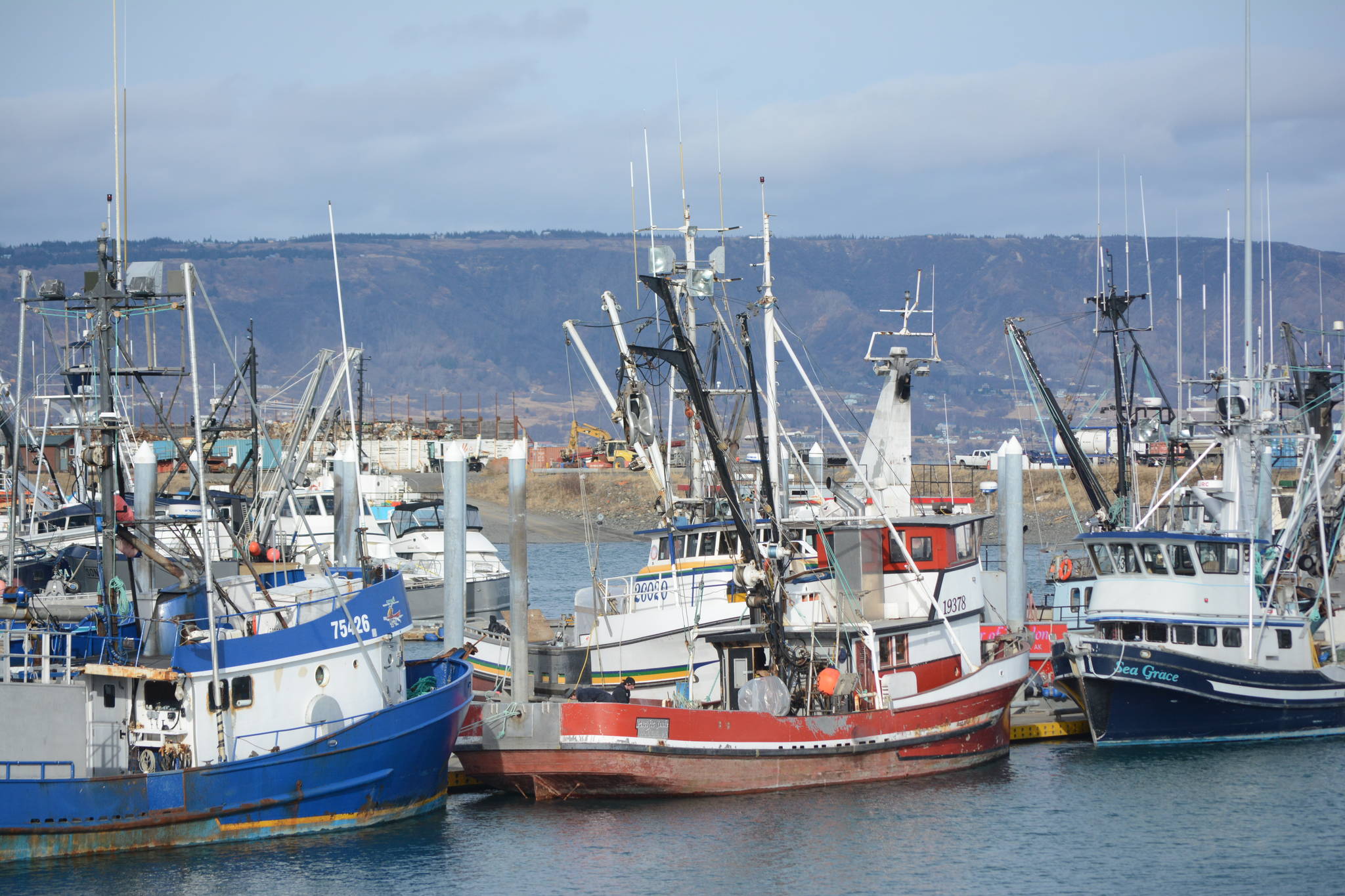 Seawatch: Salmon Task Force efforts falter at NPFC meeting