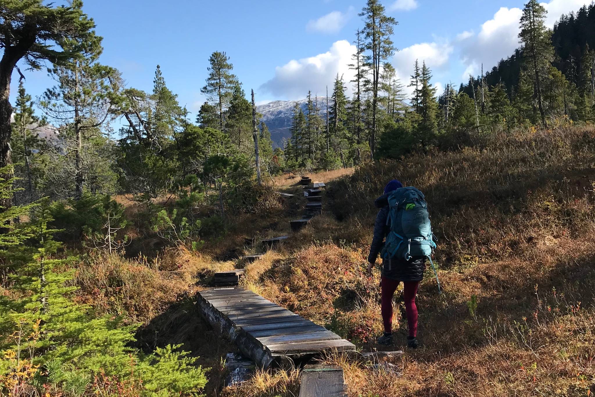 A hiker avoids an icy, frozen boardwalk on a morning hike from the Dan Moller Cabin in Juneau in October 2019. (Photo by Kat Sorensen/Peninsula Clarion)