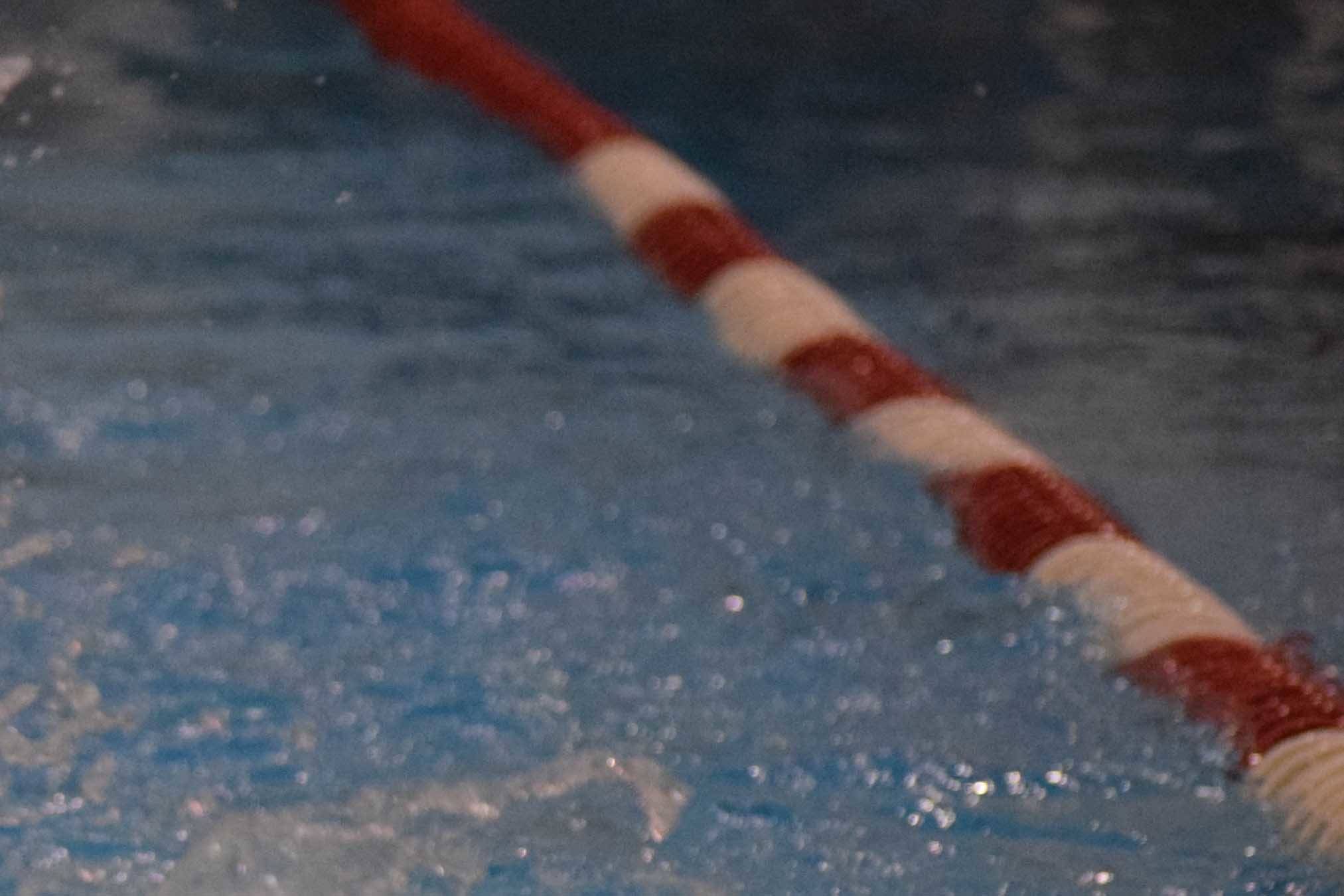 Colony swimmers sweep Palmer Invitational