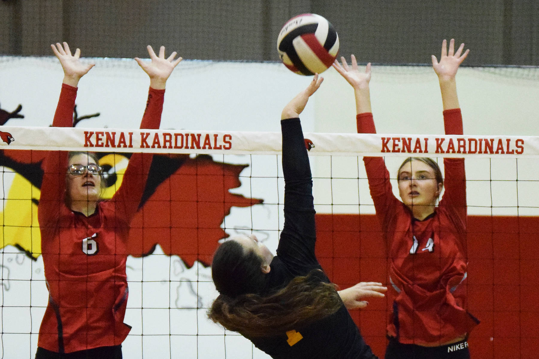 Peninsula volleyball teams roll at Dimond-Service tourney