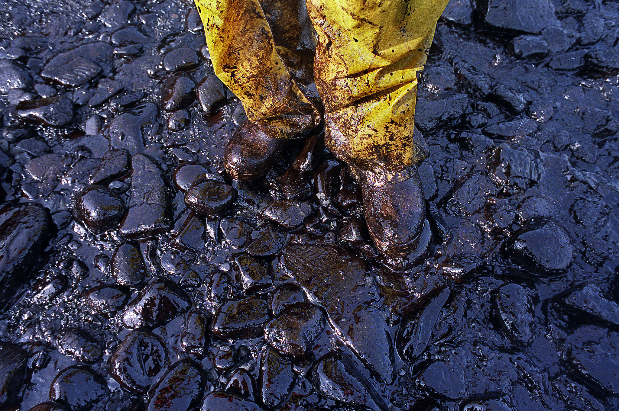 FILE - In this April 1989, file photo, an oil covered bird is examined on an island in Prince William Sound, Alaska, after the Exxon Valdez spill. Thirty years after the supertanker Exxon Valdez hit a reef and spilled about 11 million gallons of oil in Prince William Sound, the state of Alaska is looking whether to change its requirements for oil spill prevention and response plans, a move that one conservationist says could lead to a watering down of environmental regulations. (AP Photo/Jack Smith, File)                                The Exxon Valdez oil tanker spill March 24, 1989, blackened hundreds of miles of coastline in Alaska’s Prince William Sound, devasting wildlife and altering lives in fishing communities for generations. (John Gaps III / Associated Press)