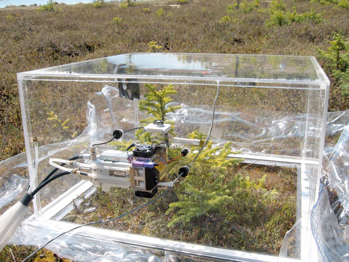 Graduate student Sue Ives used this portable acrylic chamber with an infrared gas analyzer to measure carbon flow in a peatland on the Kenai National Wildlife Refuge. (Photo provided by the refuge)