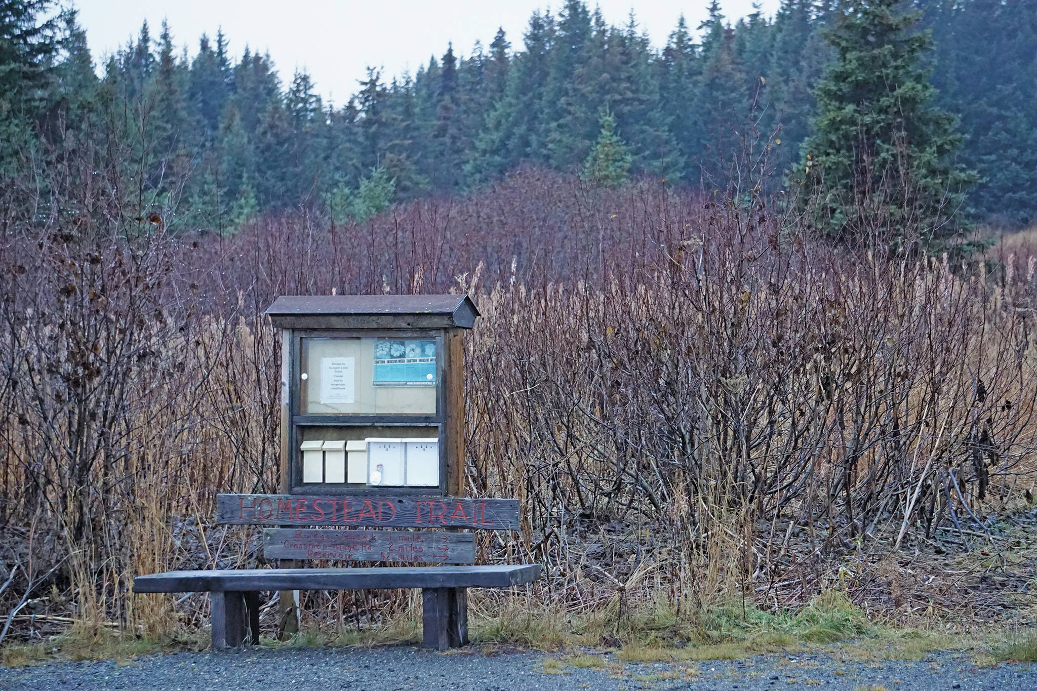 Homer Volunteer Fire Department and Kachemak Emergency Services medics met a bear mauling victim at the Homestead Trail parking lot on Diamond Ridge Road and Nearly Level Road on Monday afternoon, Nov. 3, 2019, in Homer, Alaska. (Photo by Michael Armstrong/Homer News)