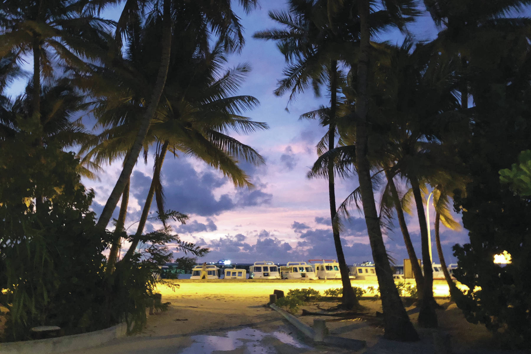 Photo by Paul Landen                                Palm trees frame a sunset sky in the Maldives in summer of 2019.