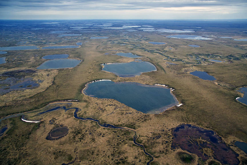 The National Petroleum Reserve Alaska. (Courtesy photo | Bureau of Land Management)