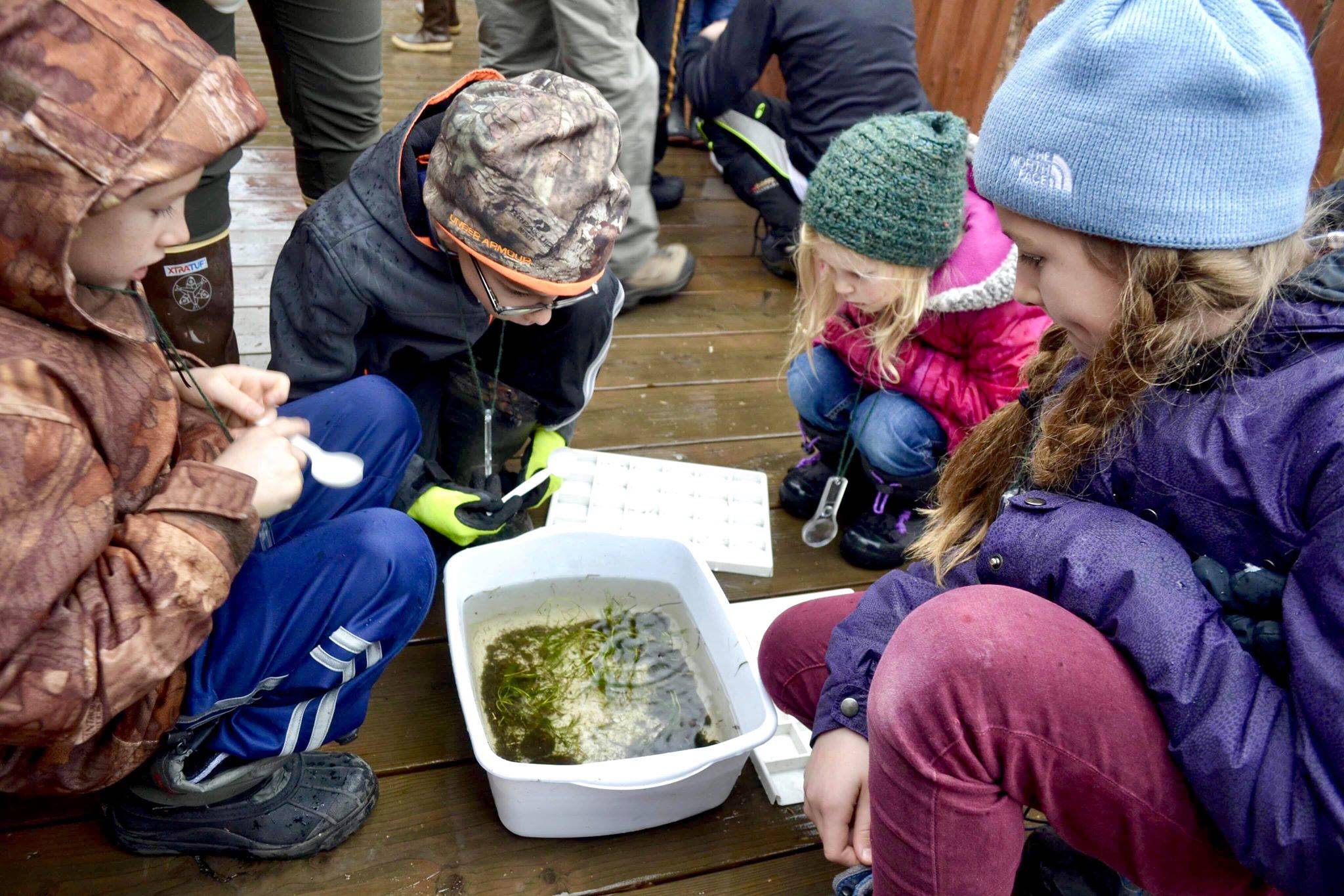 Connections Homeschool students participating in Kenai Watershed Forum’s Adopt-A-Stream program conduct macroinvertagrate sampling Soldotna Creek, on Thursday, Nov. 7, 2019, in Soldotna, Alaska. (Photo by Victoria Petersen/Peninsula Clarion)