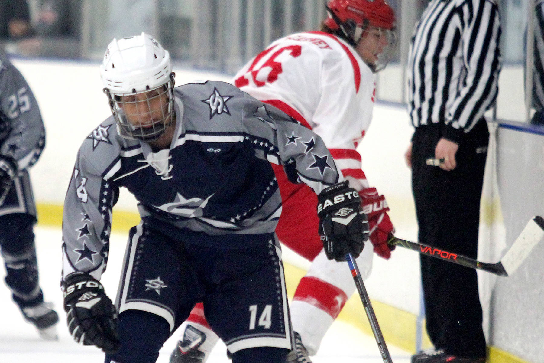 Weekend hockey roundup: Homer has successful trip