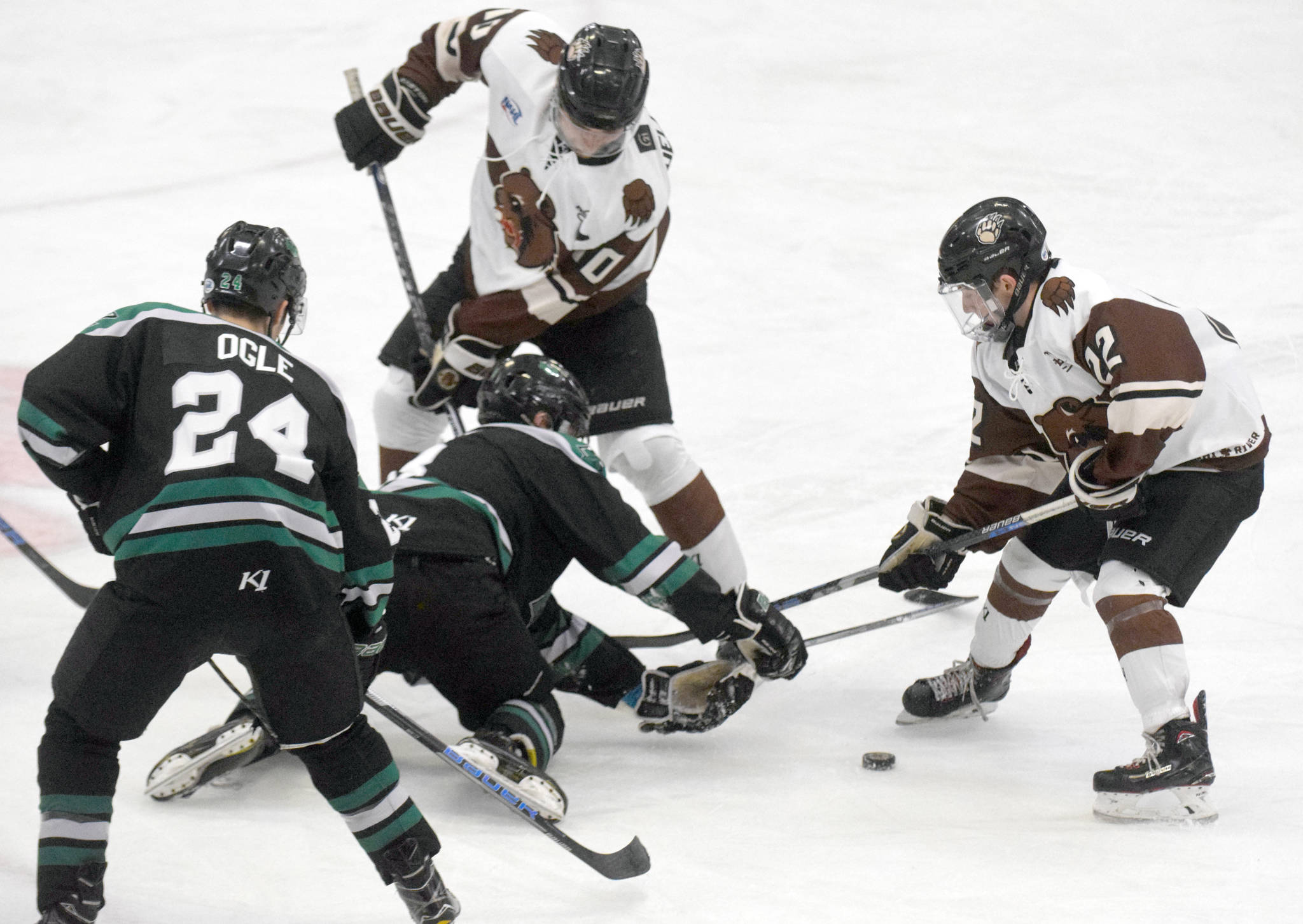 Kenai River Brown Bears forwards Laudon Poellinger and Peter Morgan battle with Brendan Ogle and Jaden Grant of the Chippewa (Wisconsin) Steel on Friday, Nov. 8, 2019, at the Soldotna Regional Sports Complex in Soldotna, Alaska. (Photo by Jeff Helminiak/Peninsula Clarion)