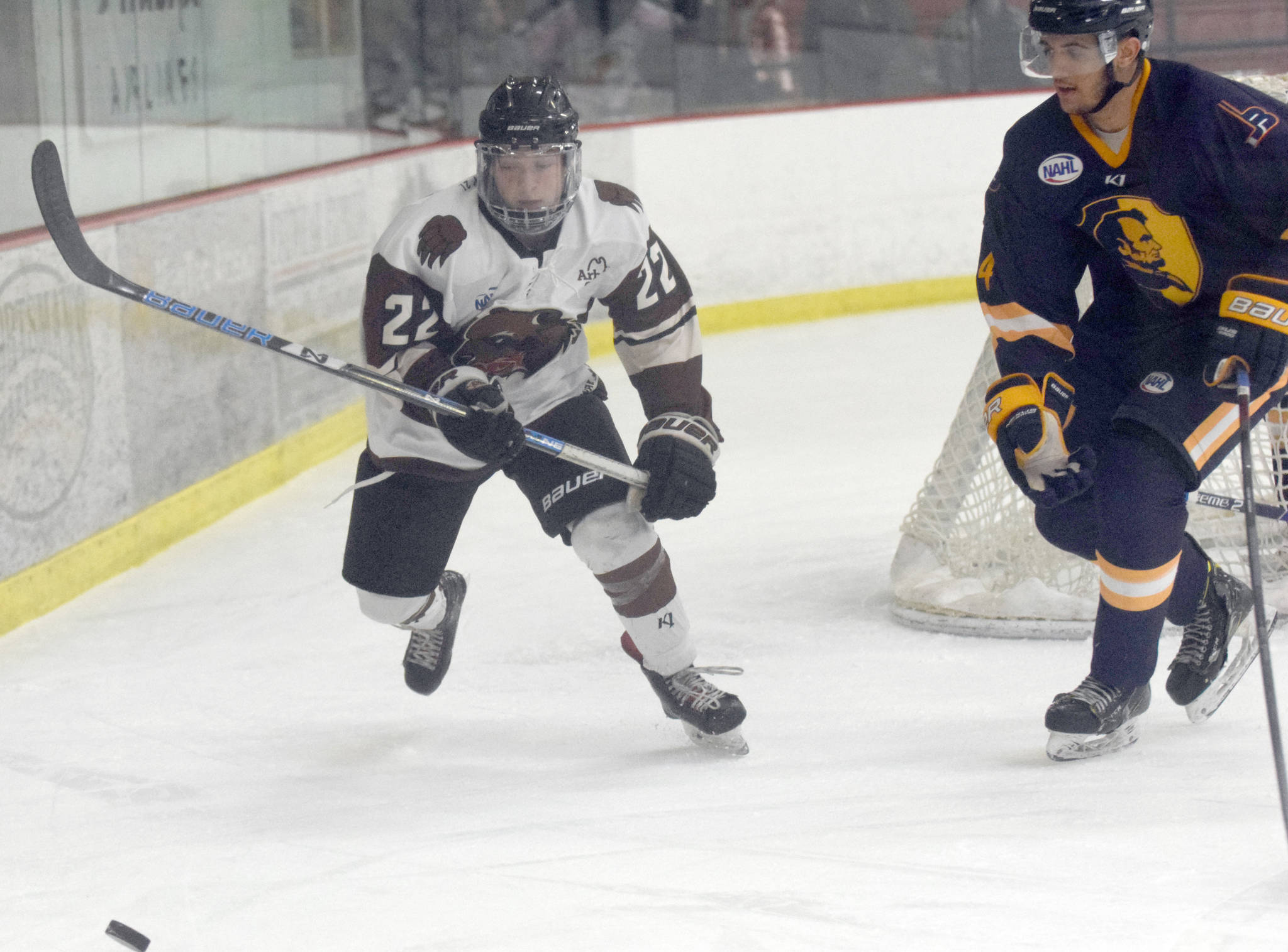 Kenai River Brown Bears forward Peter Morgan and Springfield (Illinois) Jr. Blues defenseman Hunter Mccurdy chase the puck Thursday, Nov. 14, 2019, at the Soldotna Regional Sports Complex. (Photo by Jeff Helminiak/Peninsula Clarion)