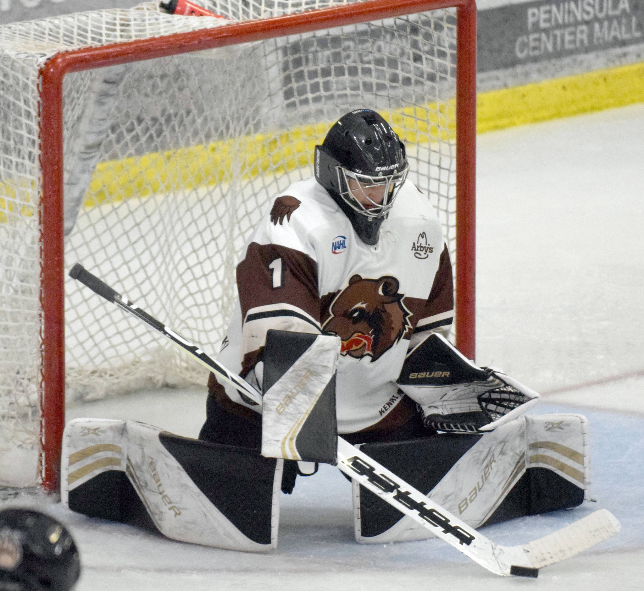 Brown Bears finish 3-game sweep of Jr. Blues