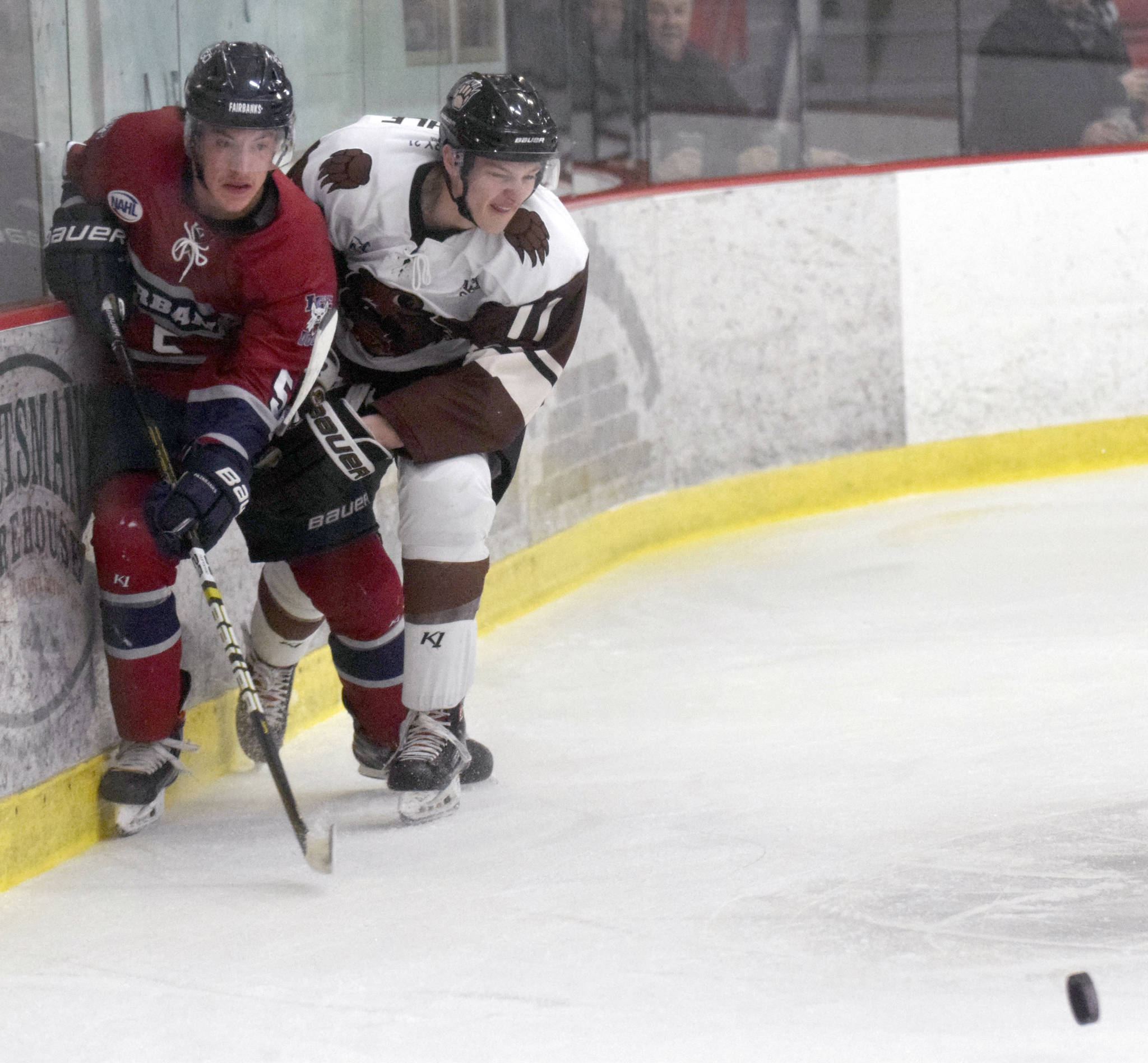 Fairbanks Ice Dogs defenseman Jasper Lester and Kenai River Brown Bears forward Porter Schachle battle along the boards Thursday, Nov. 21, 2019, at the Soldotna Regional Sports Complex in Soldotna, Alaska. (Photo by Jeff Helminiak/Peninsula Clarion)