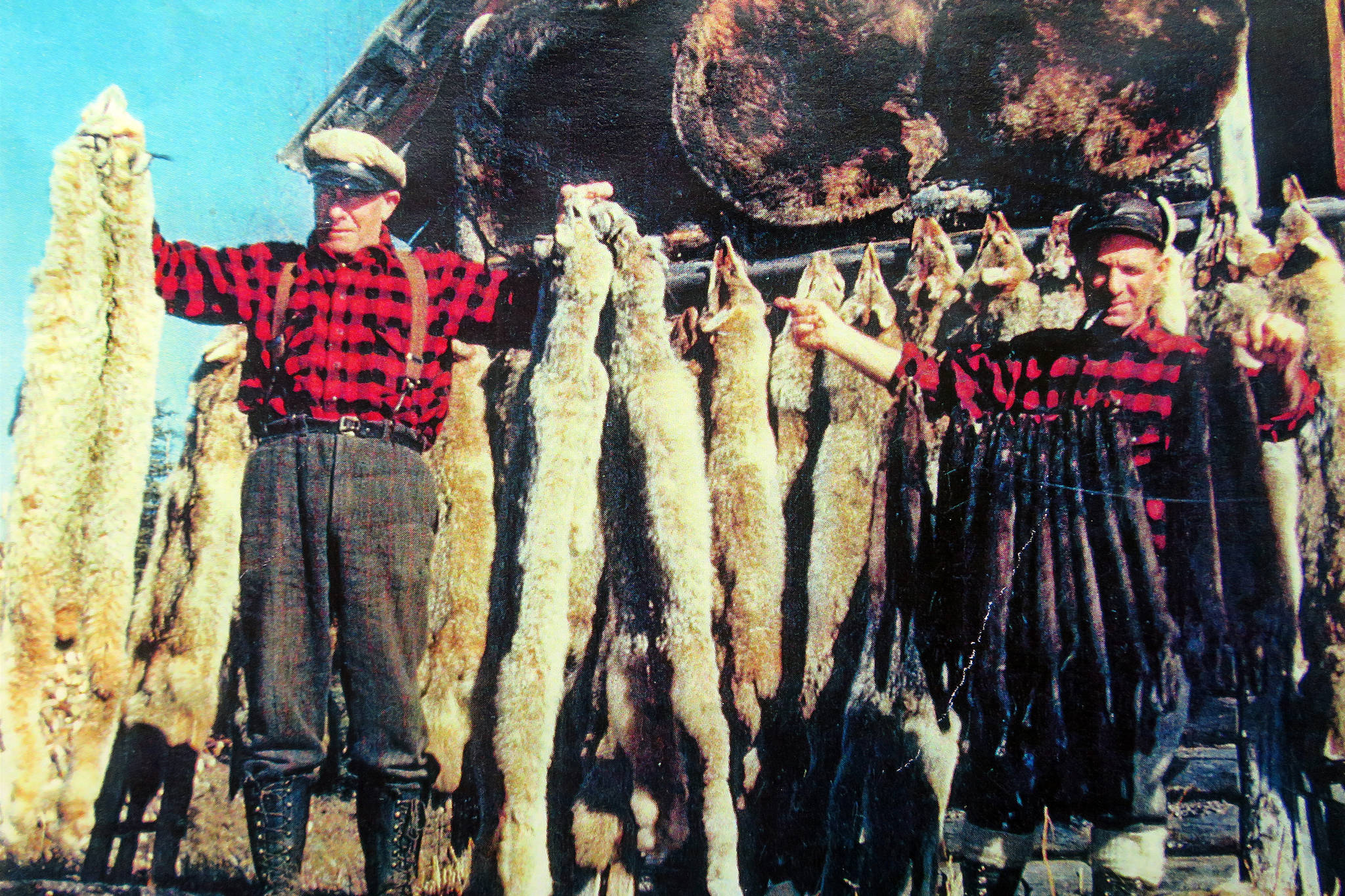 Big Jim (left) and Little Jim show off some of the furs from a recent winter’s trapping season, circa late 1950s. (Photo courtesy of Mona Painter)