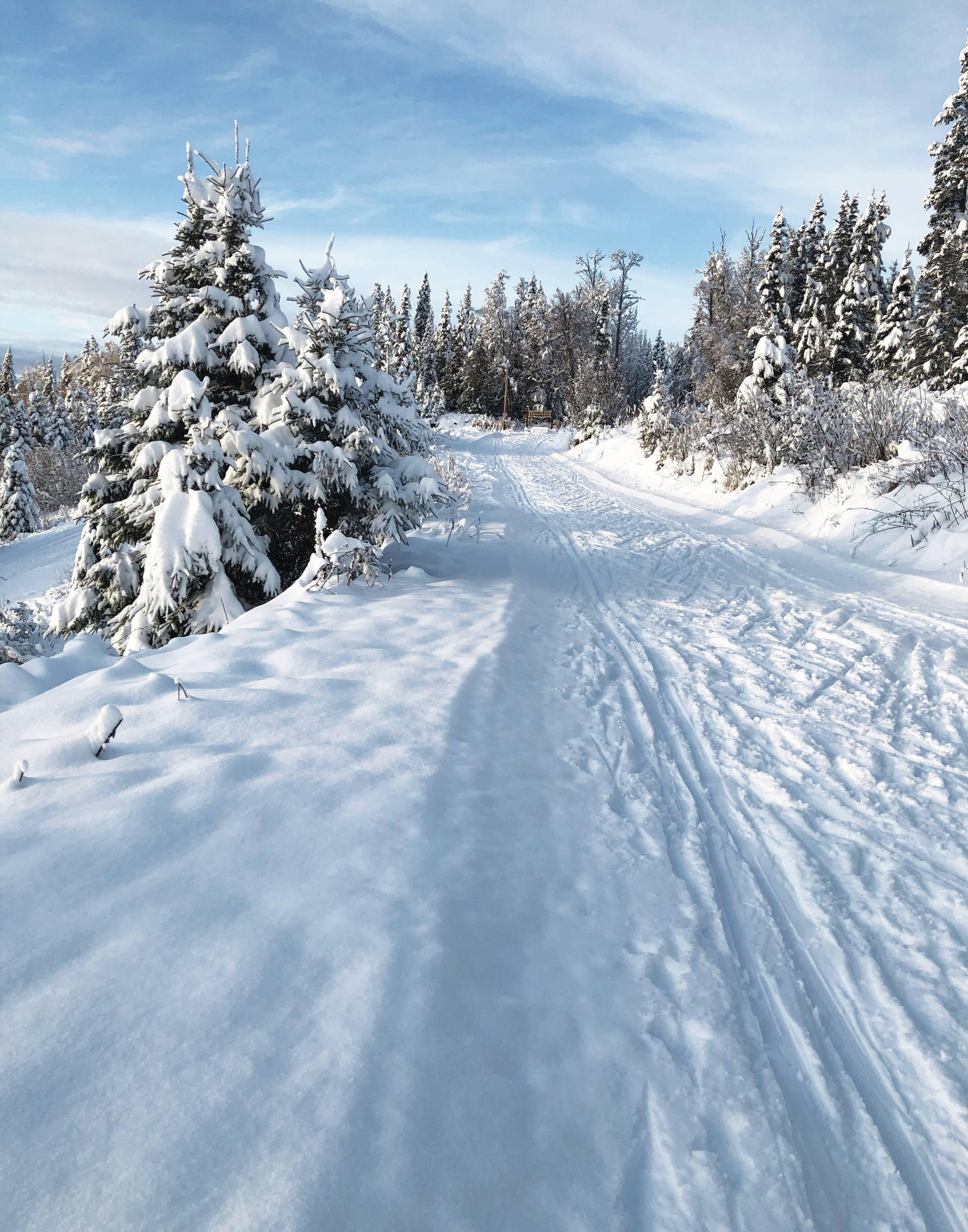 Joey Klecka / Peninsula Clarion                                 The Tsalteshi Trails, seen here on Dec. 3, are open for nordic skiing only, with most of the trail system groomed.