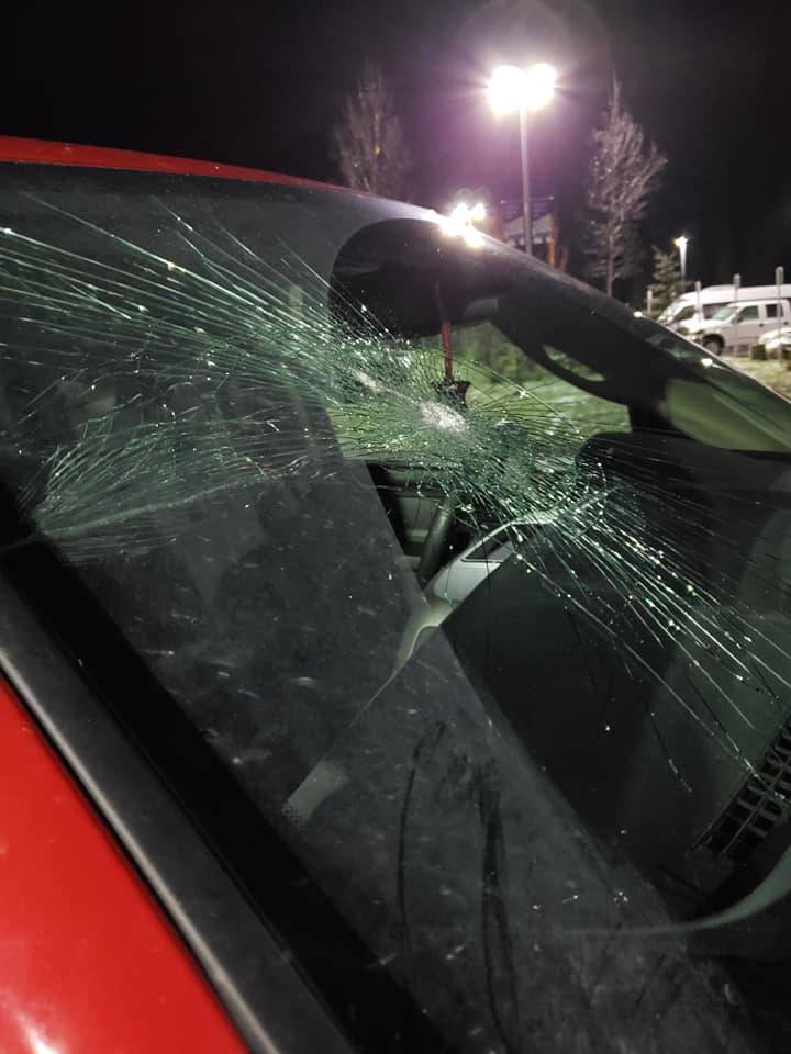 Photo courtesy Tammie Willis                                Tammie Willis’ smashed window can be seen here Nov. 22 in Soldotna.