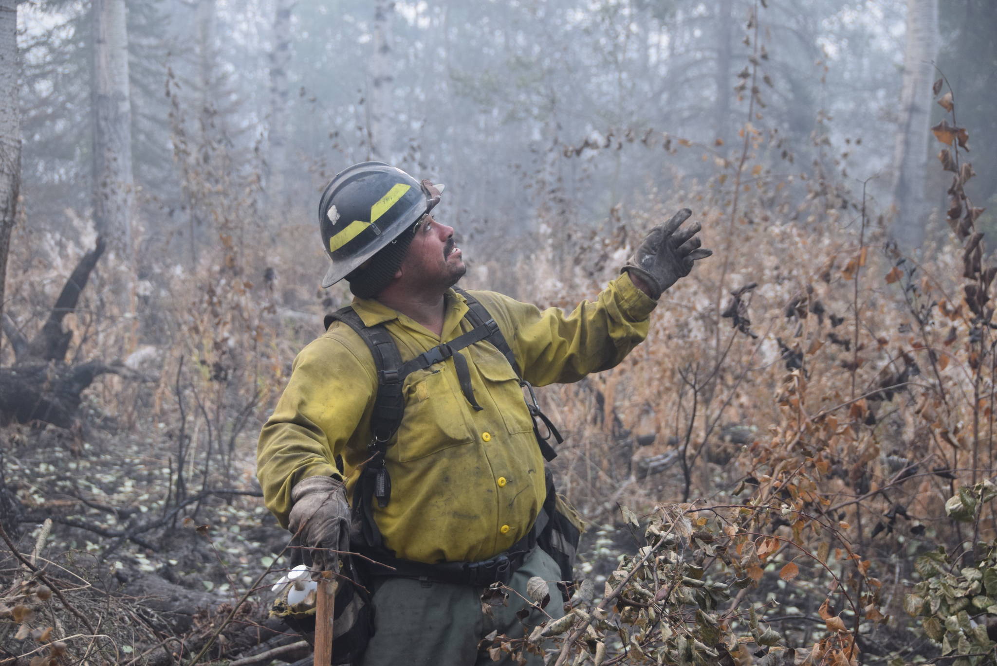 A firefighter from the Snake River Valley Type 2 crew points to a tree that is set to be cut down located near the containment line off of Skilak Lake Road southeast of Sterling, Alaska on Aug. 30, 2019. (Photo by Brian Mazurek/Peninsula Clarion)