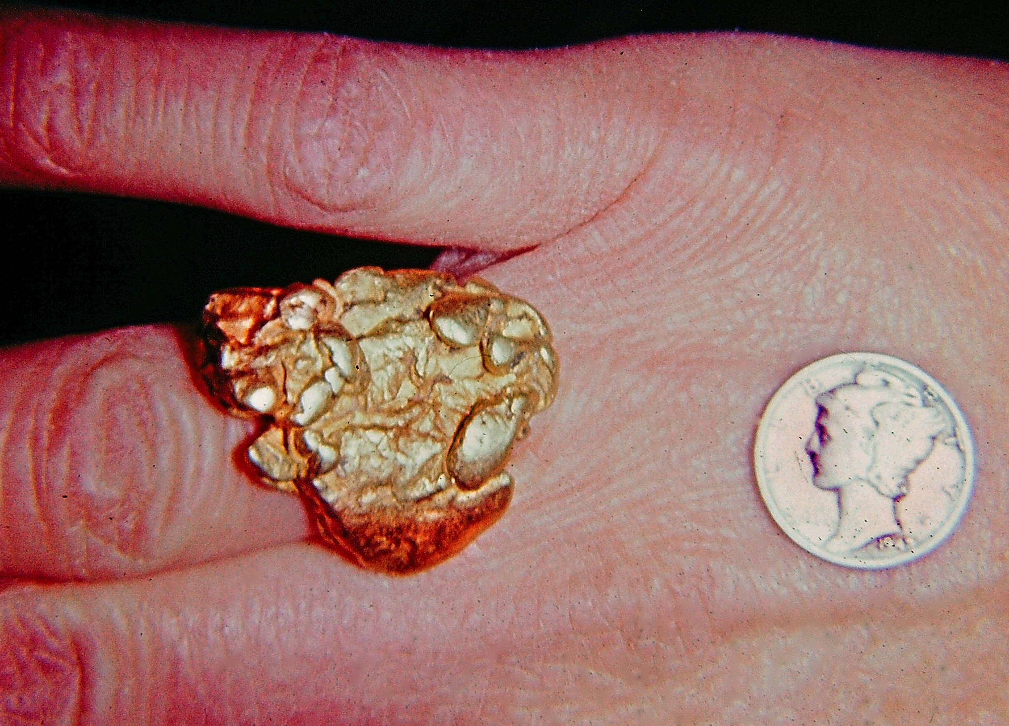 A gold nugget and a Mercury-head dime, both owned by Big Jim and lying atop his hand, circa early 1960s. (Photo from the Fair Family Collection)