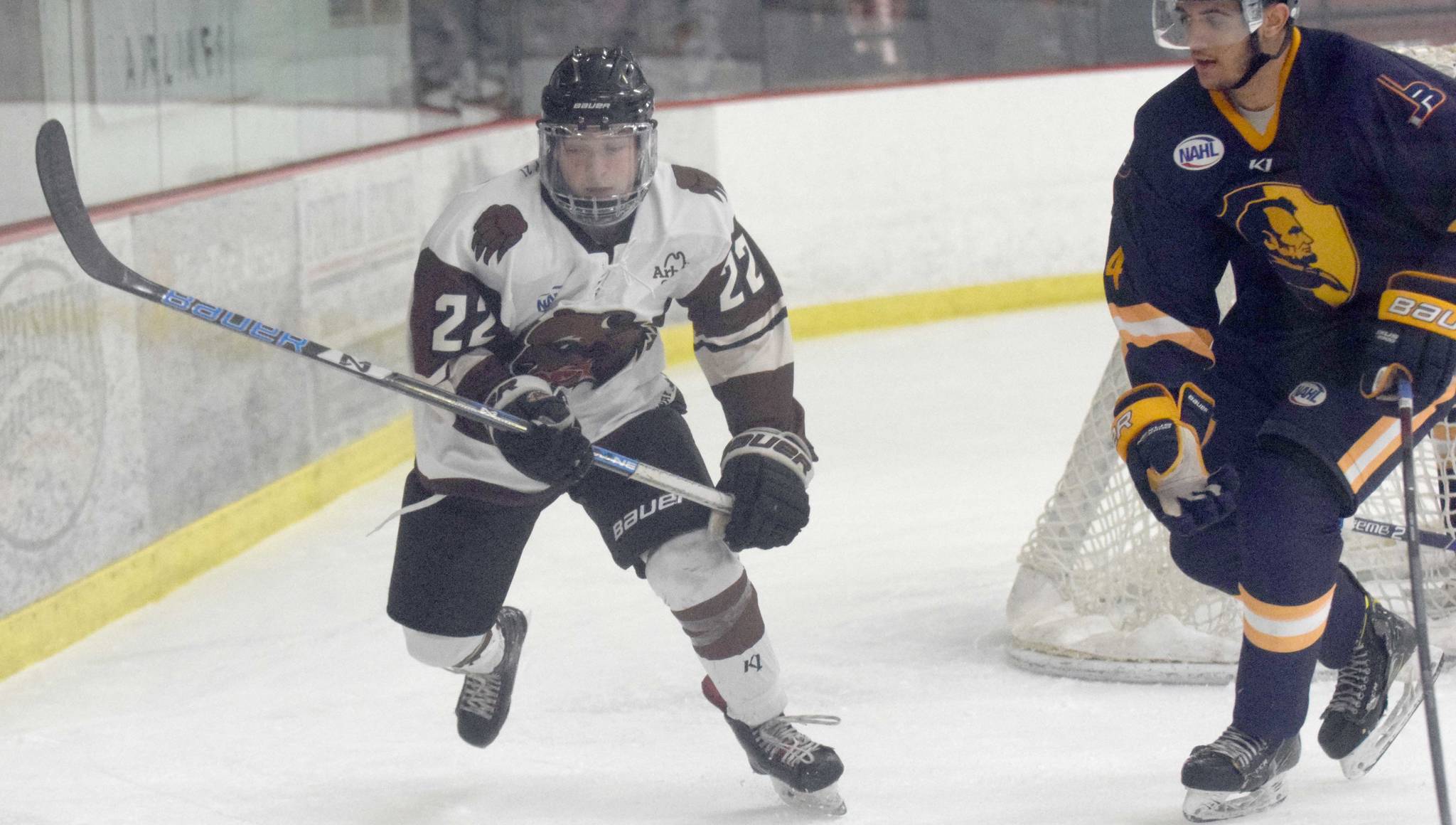 Kenai River Brown Bears forward Peter Morgan and Springfield (Illinois) Jr. Blues defenseman Hunter Mccurdy chase the puck Thursday, Nov. 14, 2019, at the Soldotna Regional Sports Complex. (Photo by Jeff Helminiak/Peninsula Clarion)