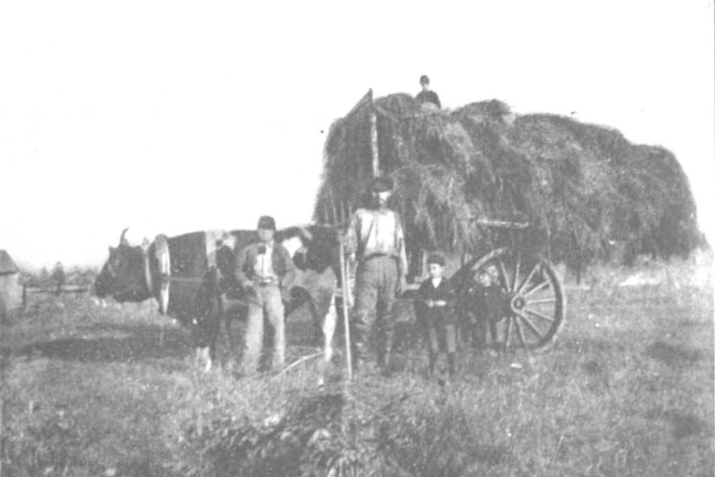 Refuge Notebook: Exploring agriculture of the Kenai, 1897-1898