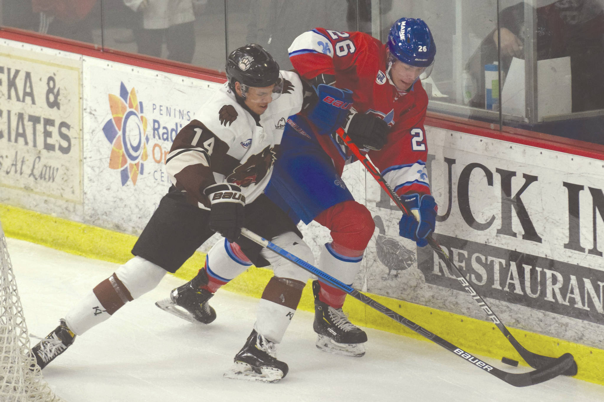 Nordiques sweep Brown Bears