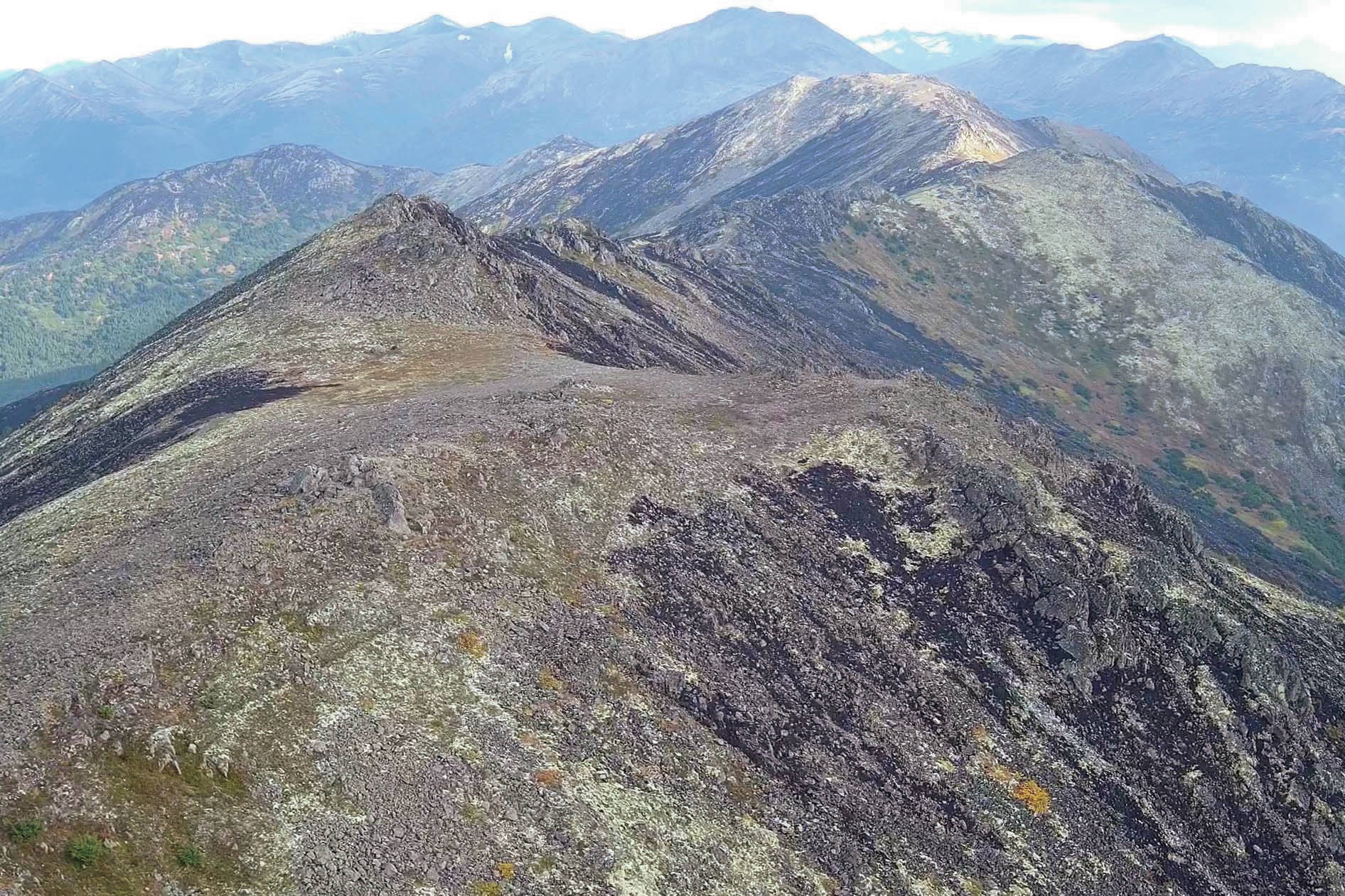 Refuge Notebook: Wildfire in Kenai Mountains tundra