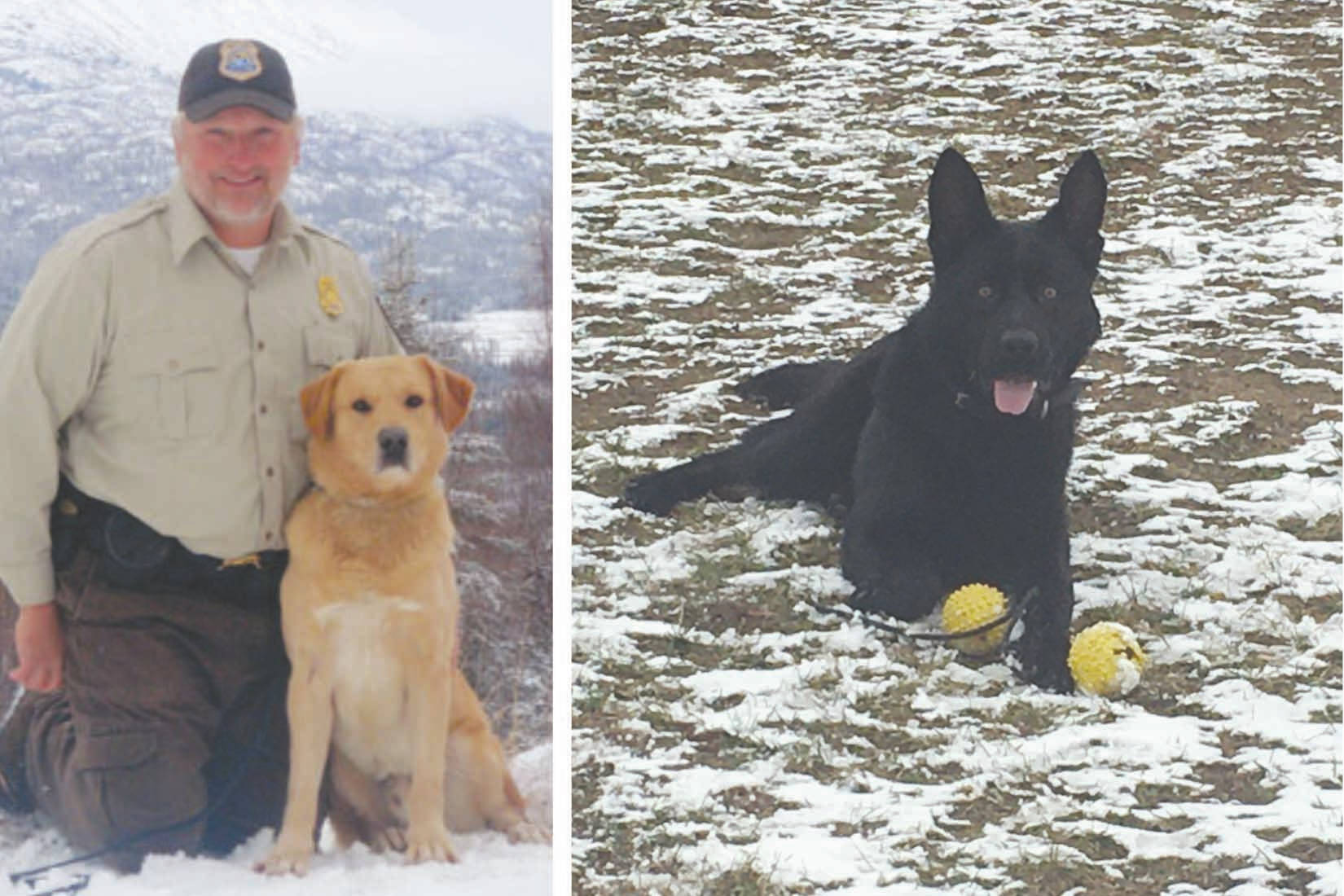 Former Refuge K9 Officer Rex will enjoy retirement as newcomer formerly known as Thomi takes up the job. (Photo by Rob Barto/USFWS)