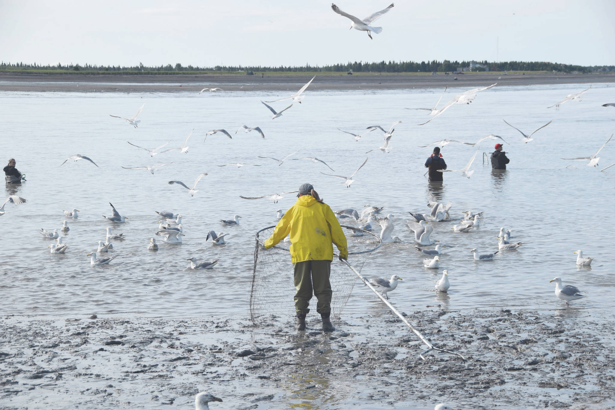 Brian Mazurek / Peninsula Clarion file                                Alaskans dip net for salmon on the Kenai River on July 17.