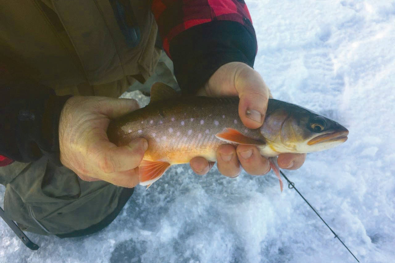 Refuge Notebook: Ice fishing the Swanson River Road area lakes