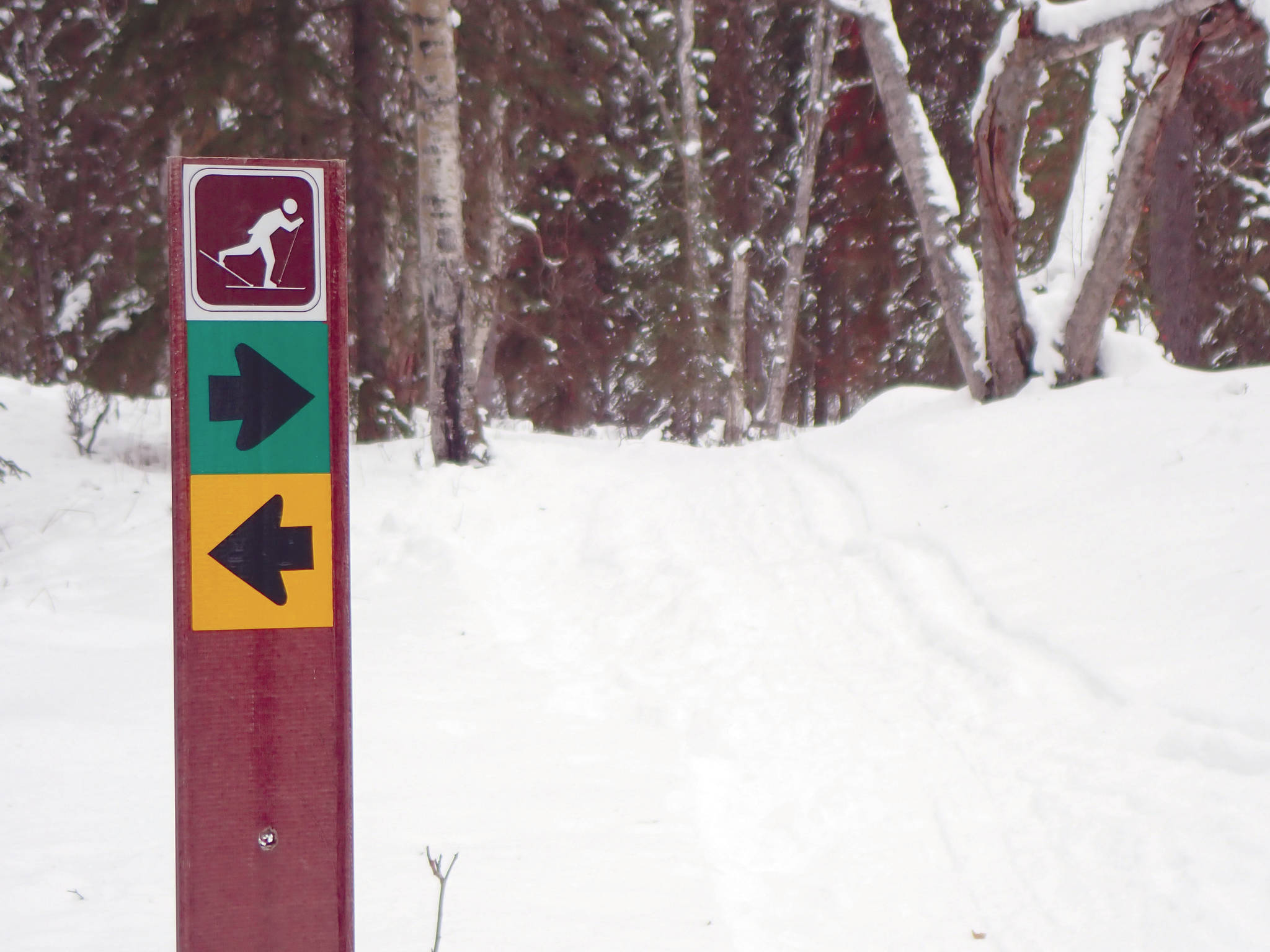 A sign marks one of the groomed ski trails on the Kenai National Wildlife Refuge. (Photo by Matt Bowser/Kenai National Wildlife Refuge)