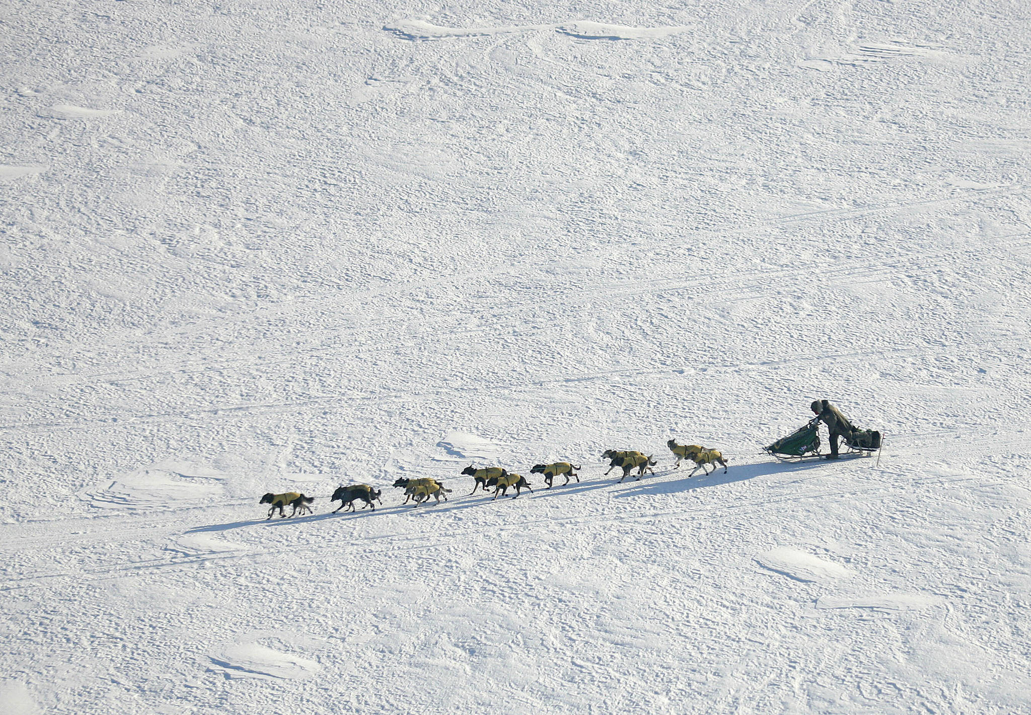 Iditarod kicks off