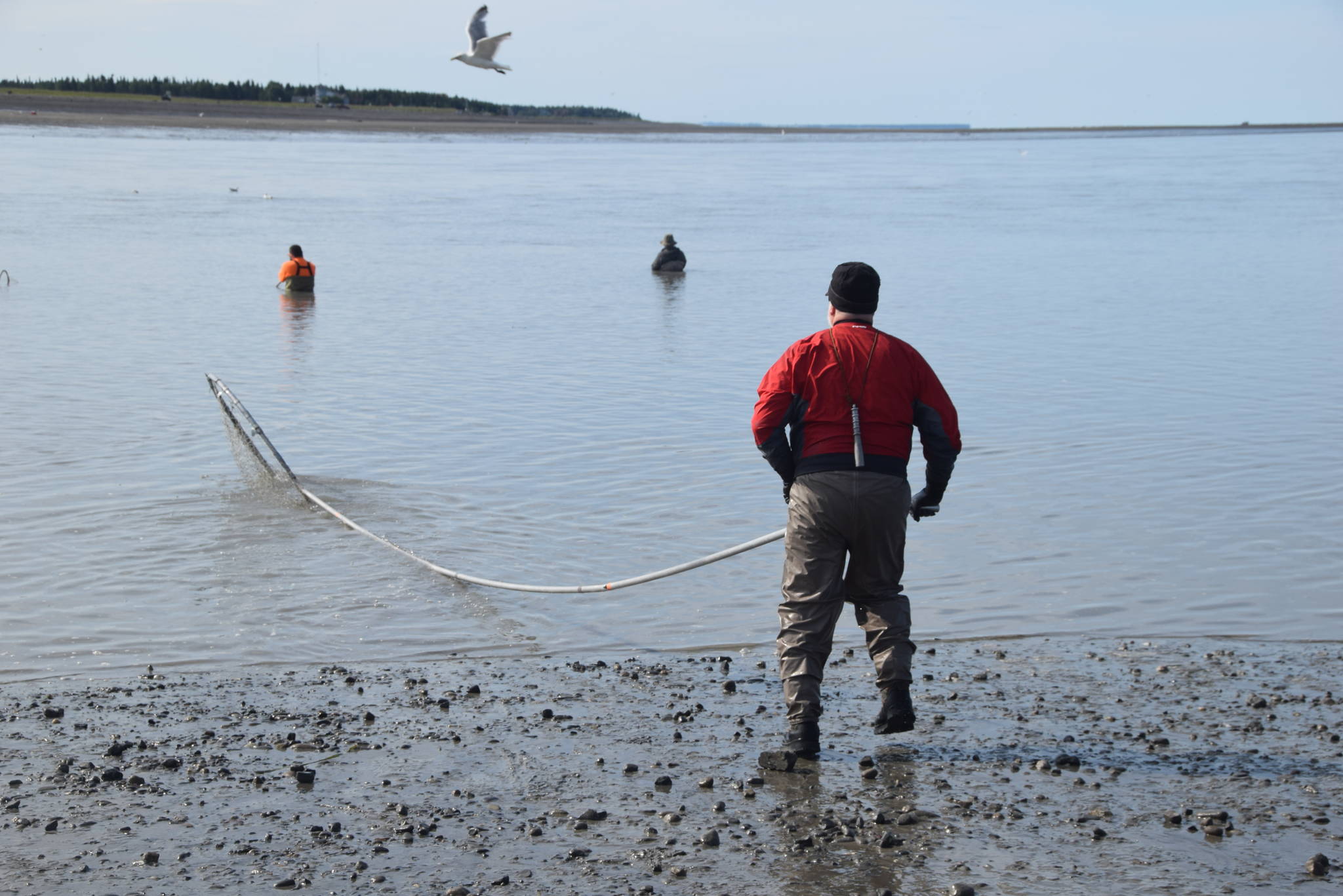 John Hakla from Eagle River heads back into the water while dip netting on the North Kenai Beach on July 17, 2019. (Photo by Brian Mazurek/Peninsula Clarion)