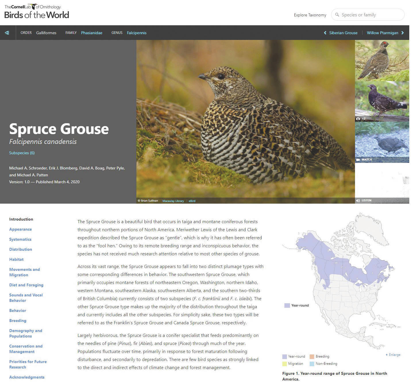 A screenshot of the Birds of the World website.