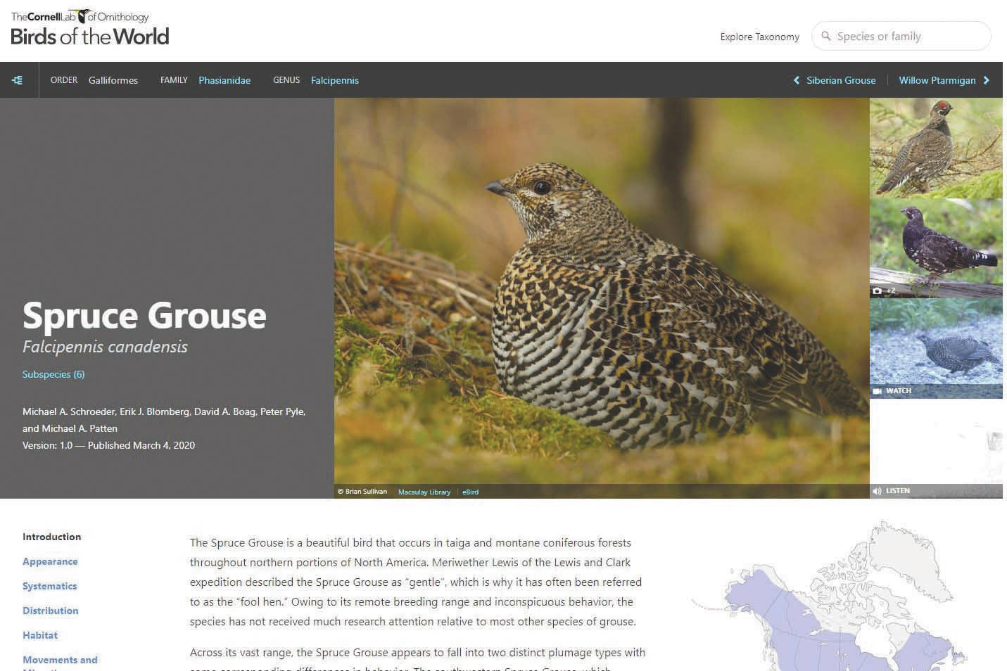 Refuge Notebook: Birds of the World resource wows