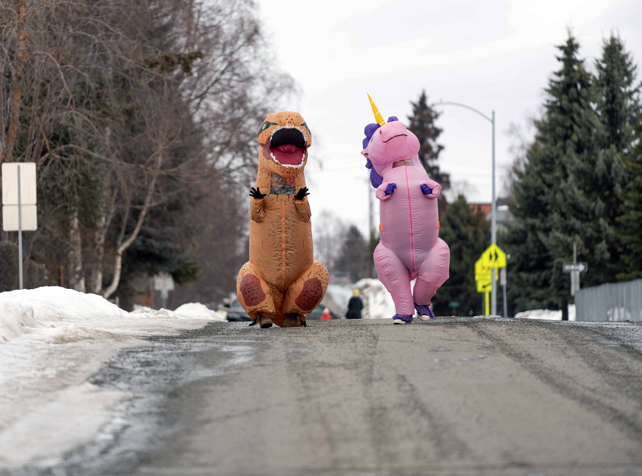Christine Hohf, wearing a unicorn costume, right,and Andi Correa, wearing a dinosaur costume, walk through South Addition, Wednesday, March 25, 2020 in Anchorage. Hohf, who works as a scrub tech at a surgery center, said her hours were cut due to elective surgeries being put off because of the coronavirus pandemic, and she wanted to do something that would make people smile. (Loren Holmes/Anchorage Daily News via AP)