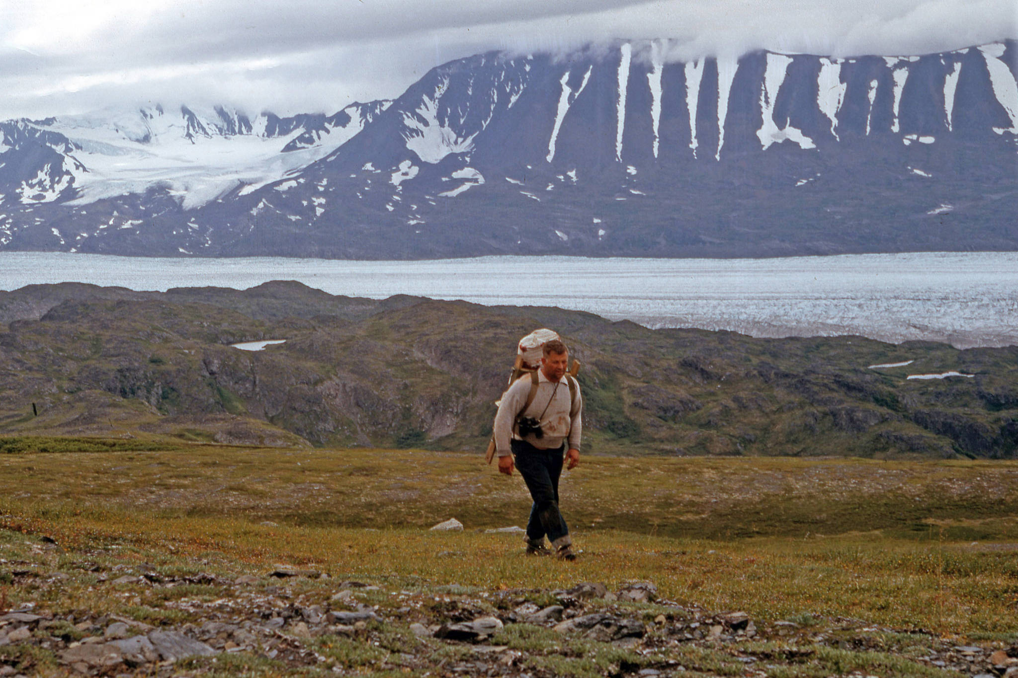 Laden with a game bag full of black bear meat, Dan France heads for camp near the Tustumena Glacier, 1963. Zebra Mountain and the glacier can be seen in the background. (Photo courtesy Fair Family Photo Collection)