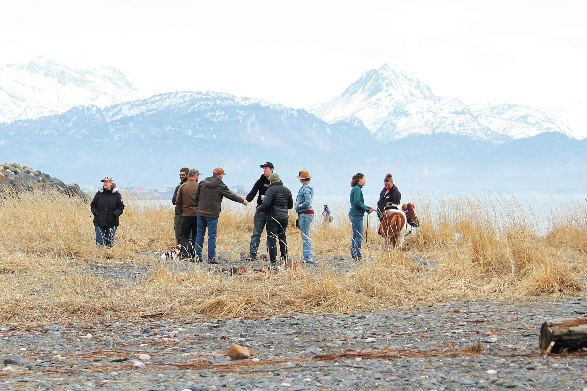 Two people shake hands at a community gathering and barbecue at the beach Saturday, April 18, 2020 at Mariner Park in Homer, Alaska. The event was hosted by Homer’s Sons of Liberty to assert the right to assemble. Organizers said attendees were encouraged to practice social distancing guidelines. (Photo by Megan Pacer/Homer News)