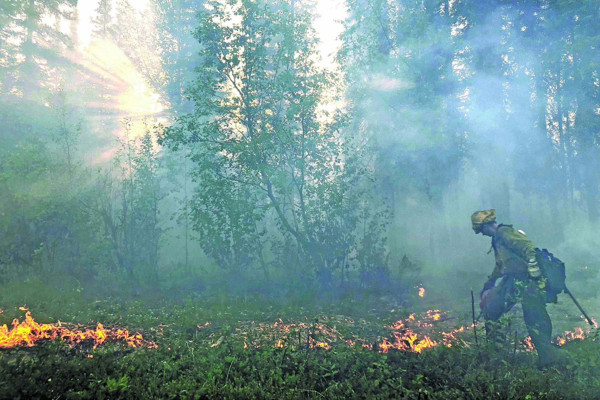 Alaska Division of Forestry                                A member of the Gannet Glacier Type 2 Initial Attack Crew uses a drip torch during a burnout operation at the Swan Lake Fire on June 18, 2019.