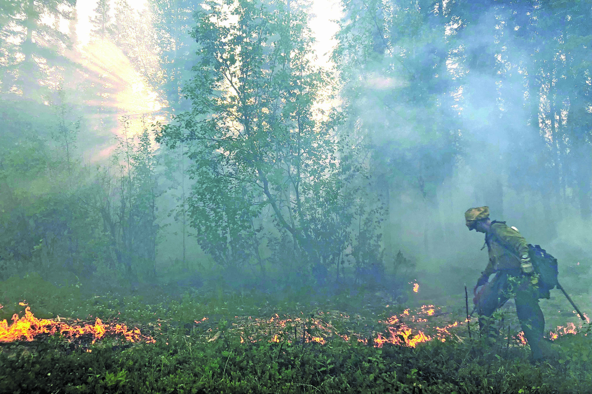 Alaska Division of Forestry                                A member of the Gannet Glacier Type 2 Initial Attack Crew uses a drip torch during a burnout operation at the Swan Lake Fire on June 18, 2019.
