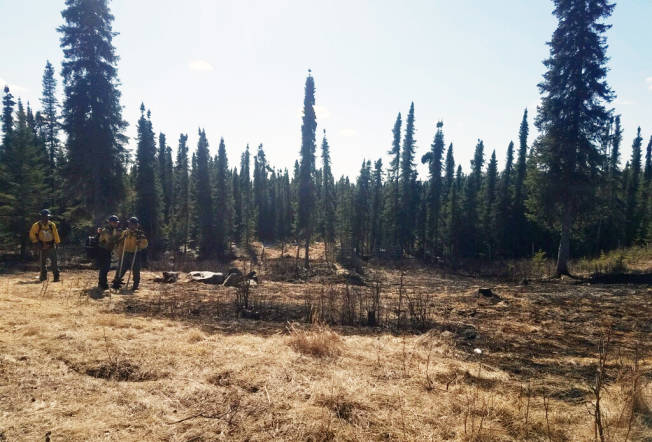 Firefighters from the Kenai-Kodiak Area State Forestry office extinguish a small grass fire started by an escaped campfire on the Kenai Peninsula on May 3, 2020. (Kyle McNally/Alaska Division of Forestry)