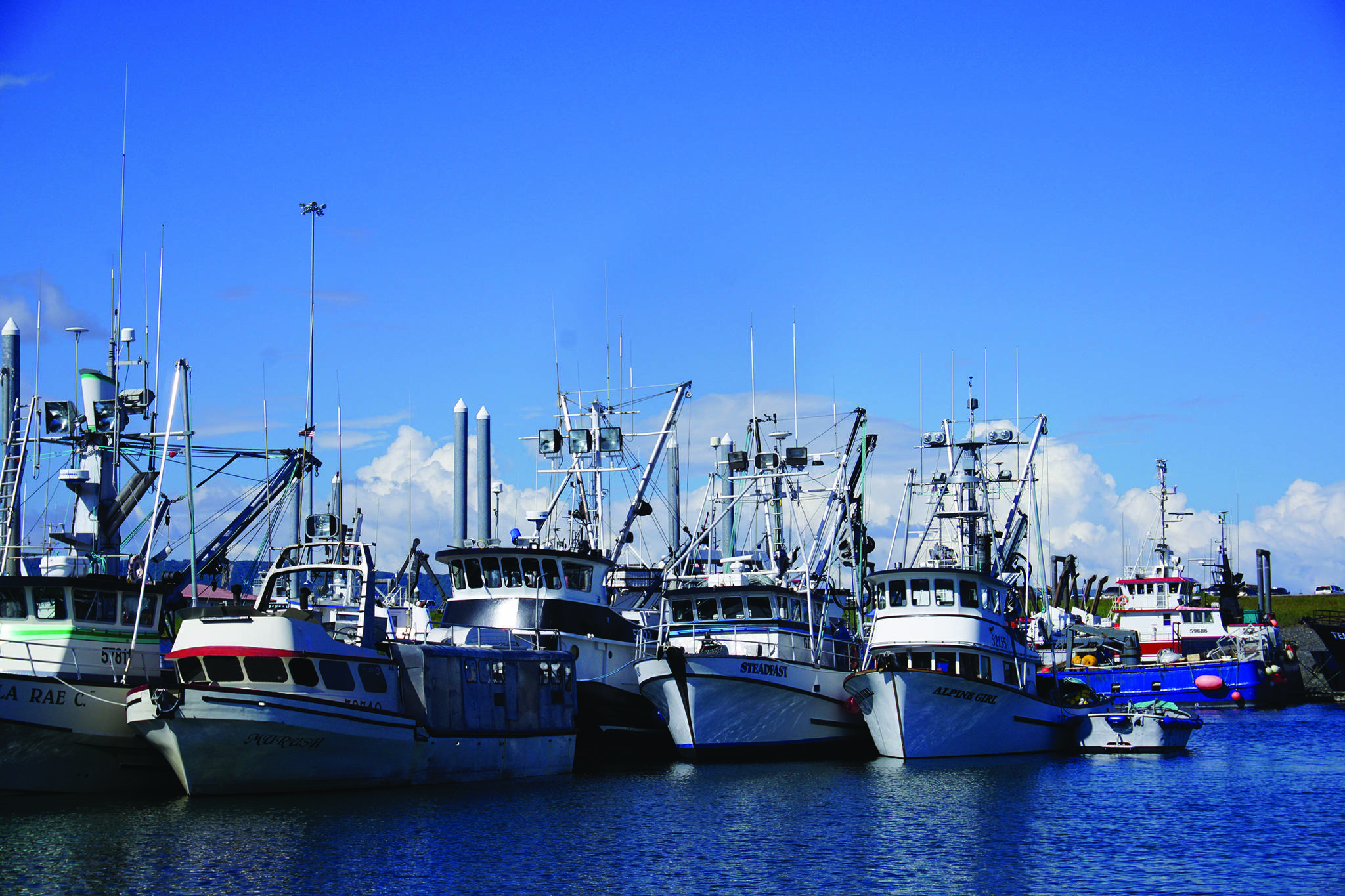 Commercial fishing boats are rafted together in May 2016 in the harbor in Homer, Alaska. (Photo by Michael Armstrong/Homer News)