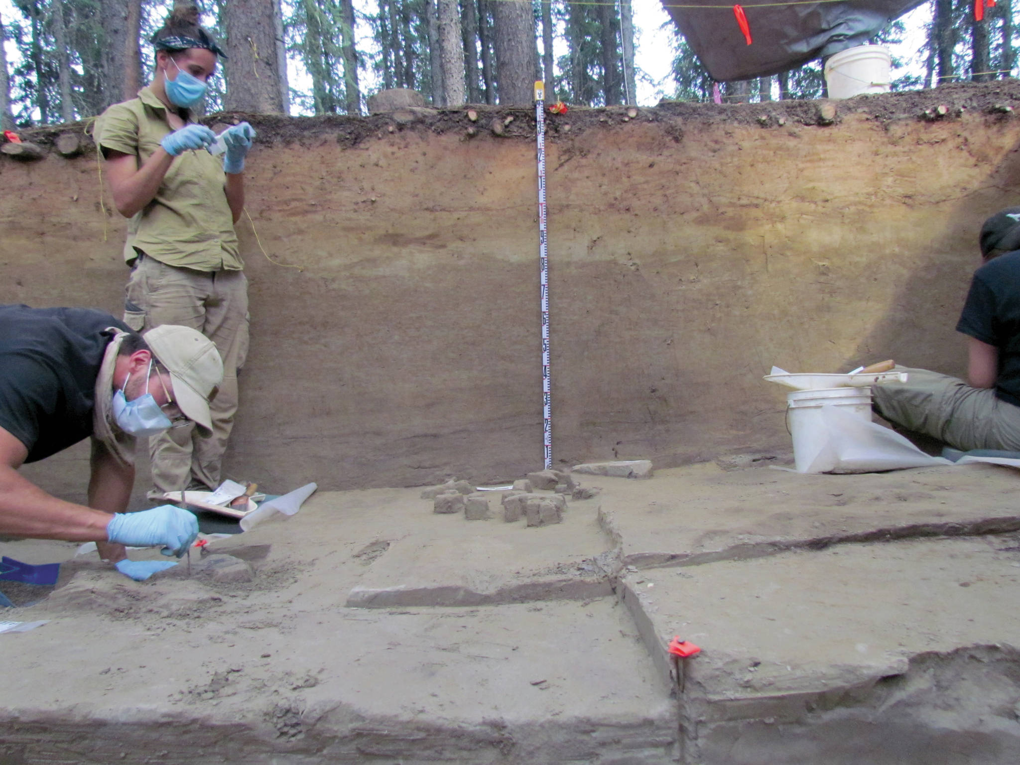 Archaeology students participate in a dig near Delta Junction, Alaska, conducted by Dr. Kate Krazinski and Dr. Brian Wygal of Adelphi University in summer 2019. (Photo provided by Kenai National Wildlife Refuge)