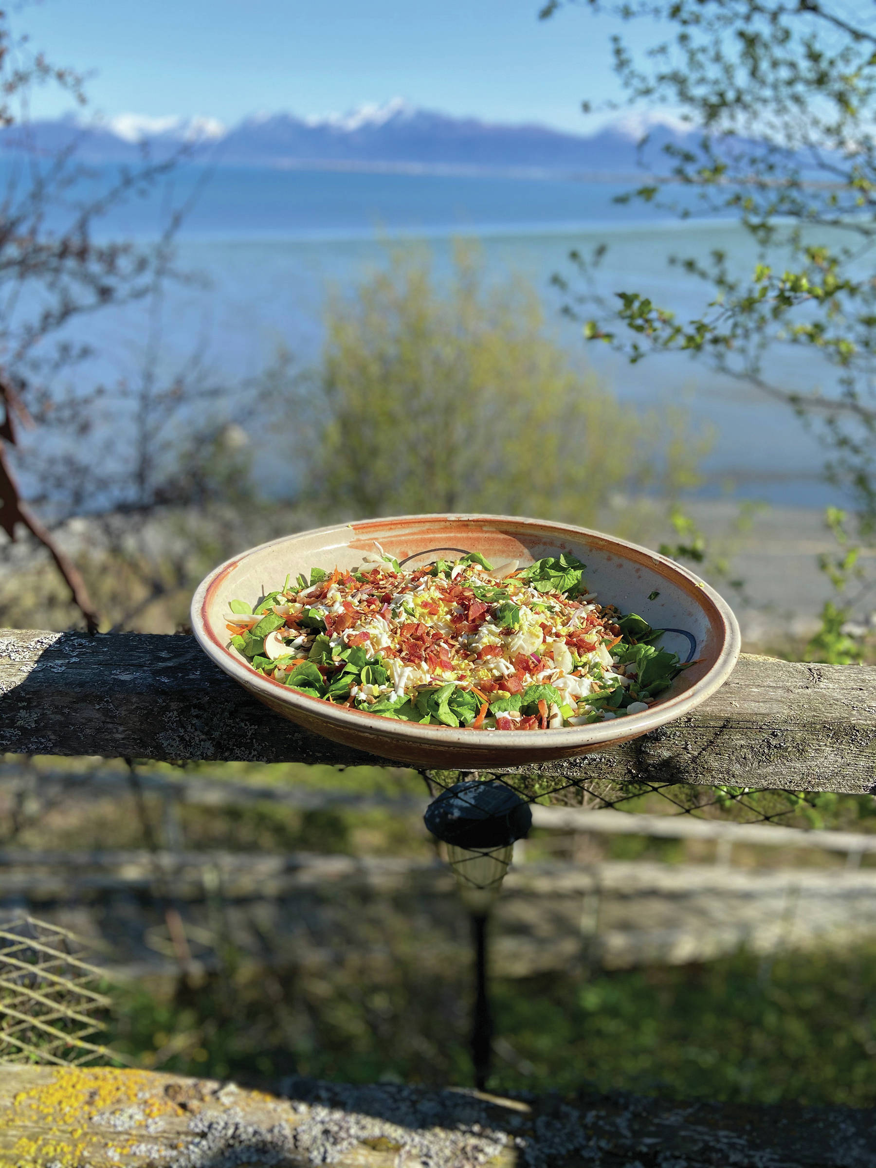 Teri’s Special Spinach Salad with Hot Bacon and Red Wine Vinaigrette is the perfect summer dish for the Memorial Day weekend. She made her recipe on May 17, 2020, at her kitchen in Homer, Alaska. (Photo by Teri Robl)