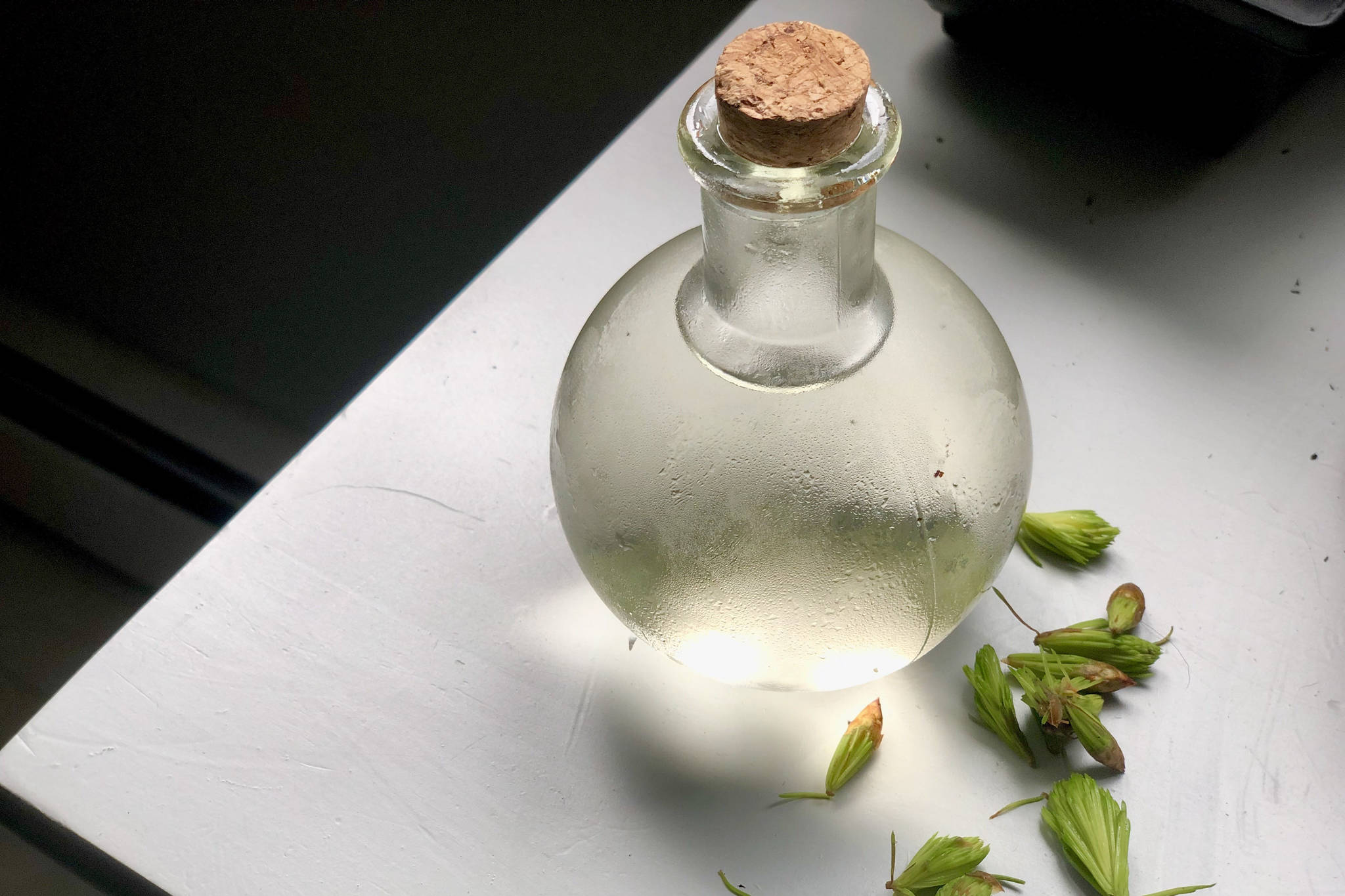 A simple syrup made from locally harvested spruce tips is photographed in the author’s Anchorage kitchen on Tuesday, May 26, 2020. Photo by Victoria Petersen/Peninsula Clarion