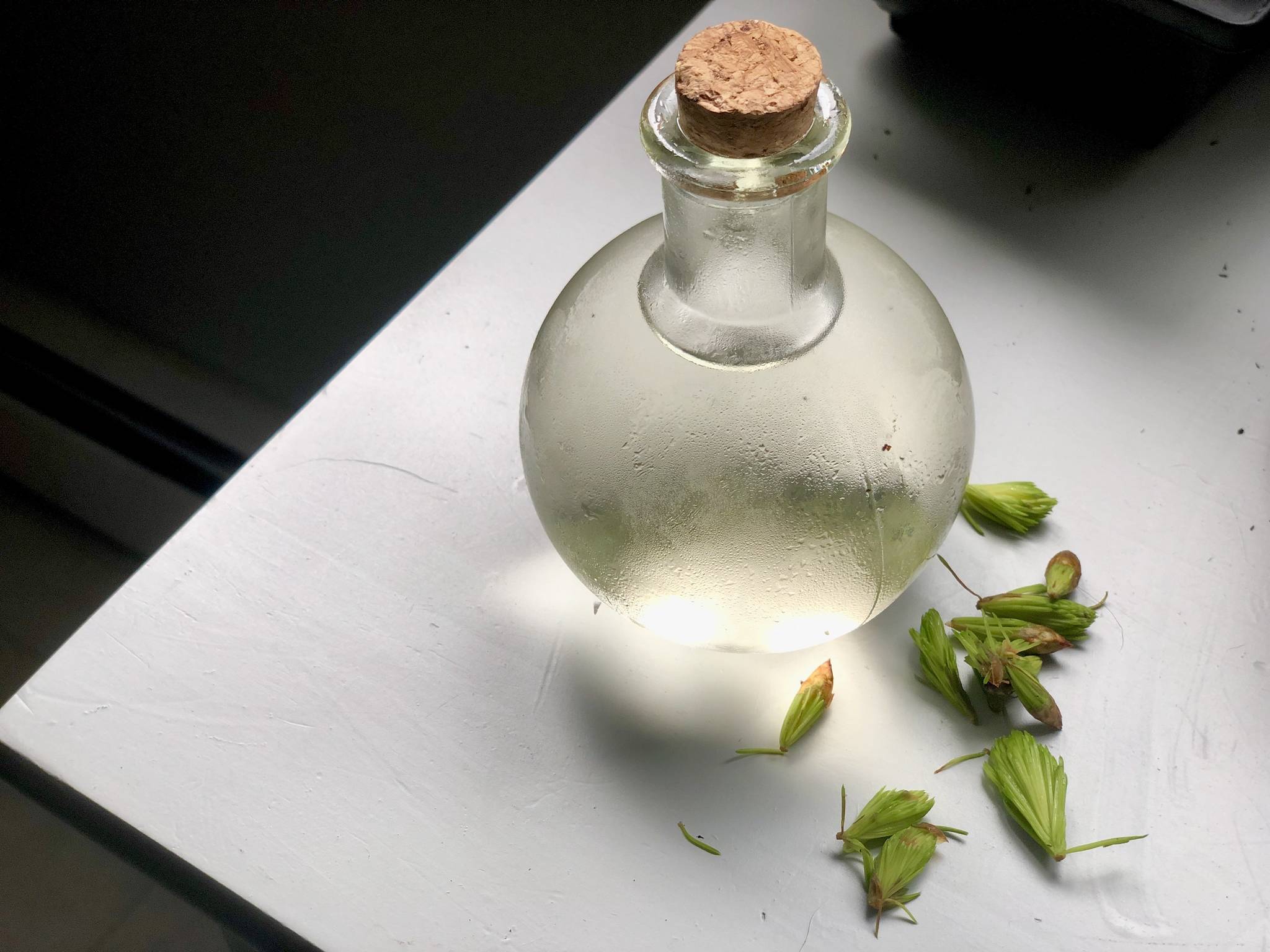 A simple syrup made from locally harvested spruce tips is photographed in the author’s Anchorage kitchen on Tuesday, May 26, 2020. Photo by Victoria Petersen/Peninsula Clarion