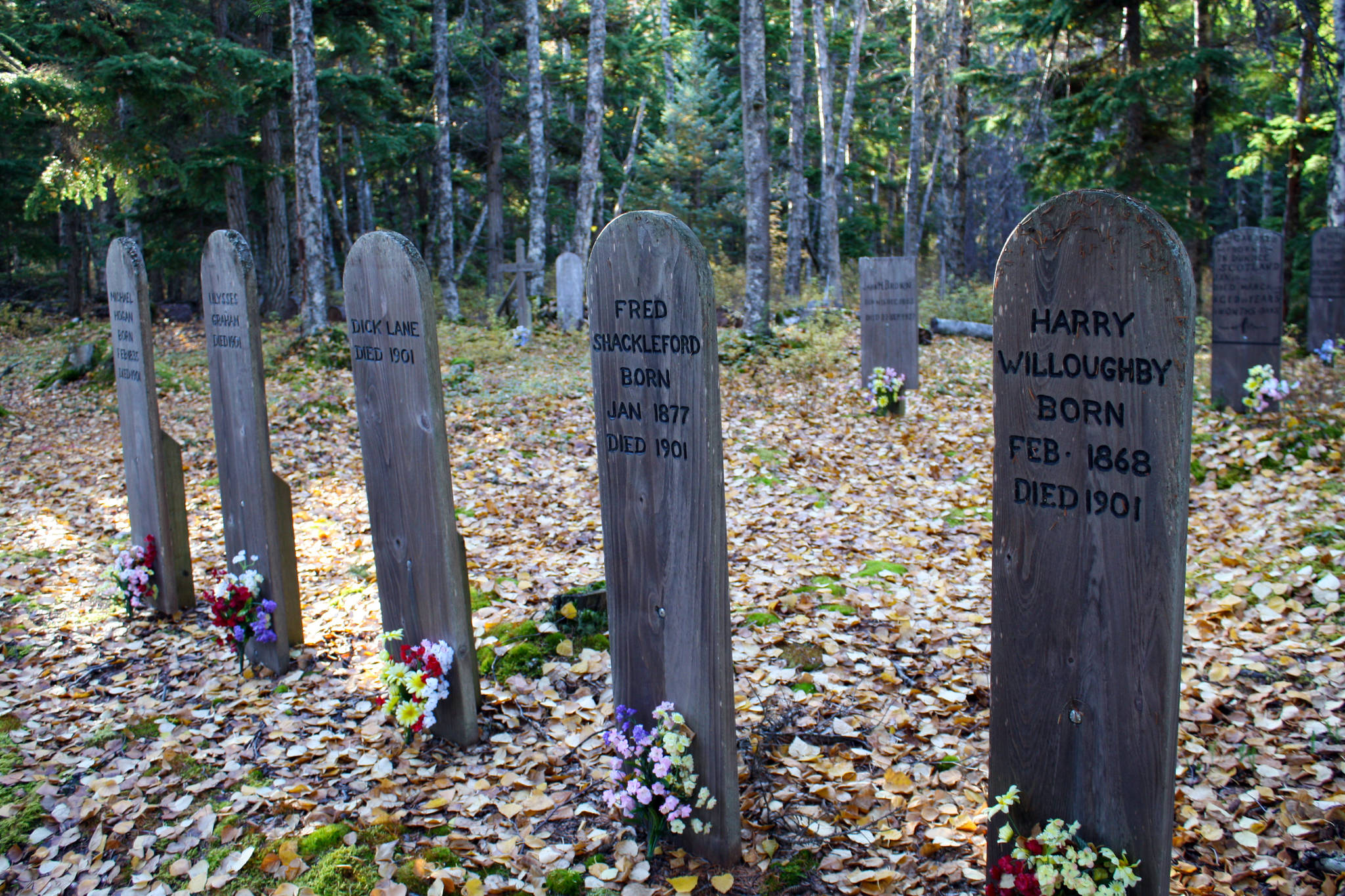 Photo by Clark Fair
Fred Shackleford’s grave (second from right) in the Point Comfort Cemetery near Hope is featured in this undated photo.