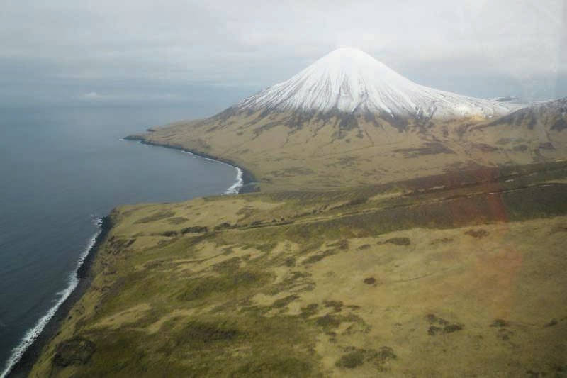 Refuge Notebook: Aleutian Islands oddities can win bets