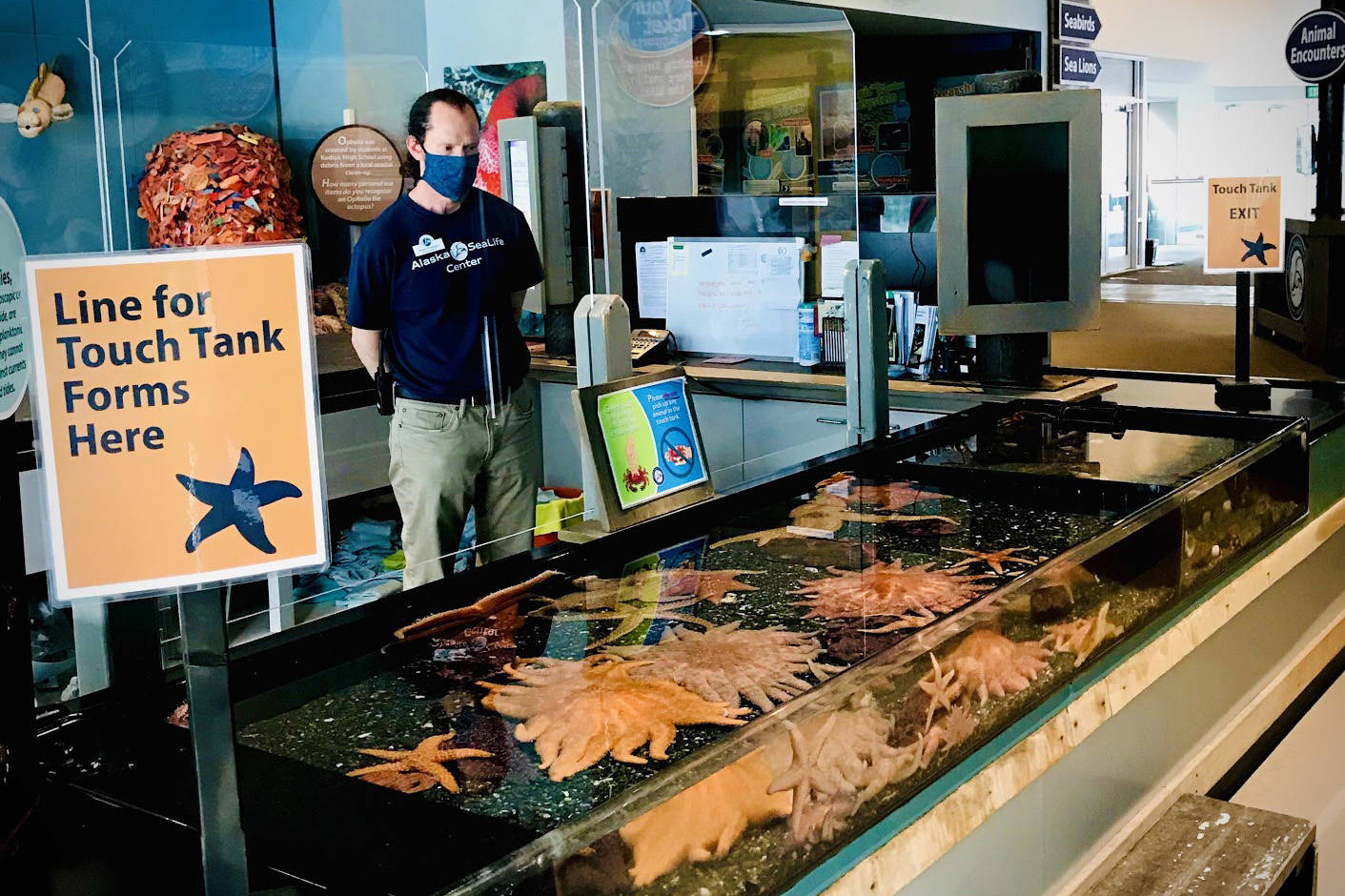 The Alaska SeaLife Center’s touch tank can be seen here in this undated photo in Seward, Alaska, and an ASLC staff member can be seen wearing a mask as part of their current health and safety protocols. (Photo courtesy Alaska SeaLife Center)