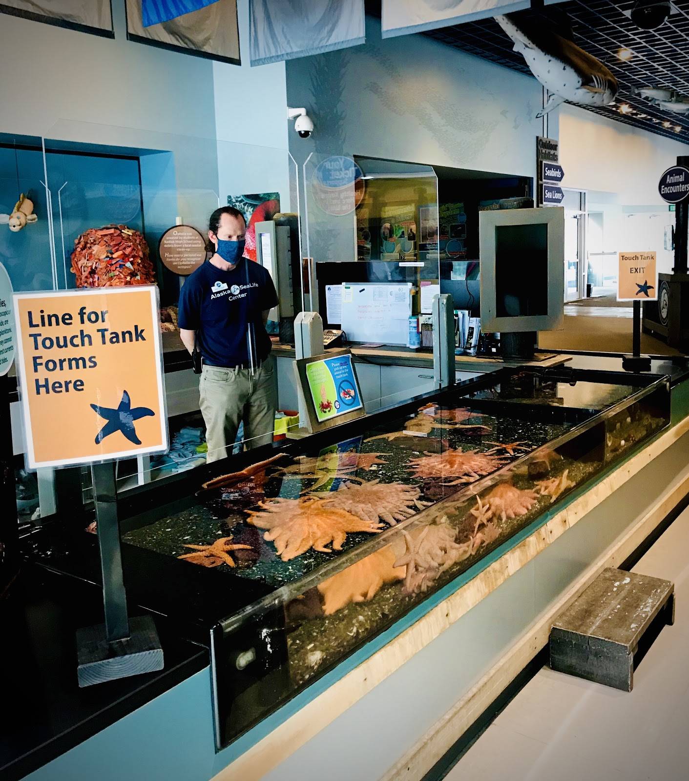 The Alaska SeaLife Center’s touch tank can be seen here in this undated photo in Seward, Alaska, and an ASLC staff member can be seen wearing a mask as part of their current health and safety protocols. (Photo courtesy Alaska SeaLife Center)